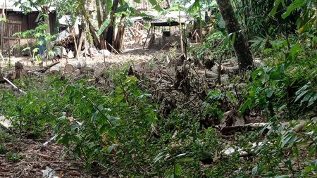 Tanah Luas 1097 Meter Persegi Lokasi JalanKaliurang Pakem Sleman 