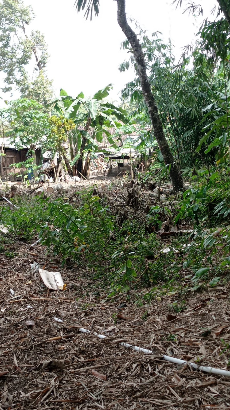 Tanah Luas 1097 Meter Persegi Lokasi JalanKaliurang Pakem Sleman 