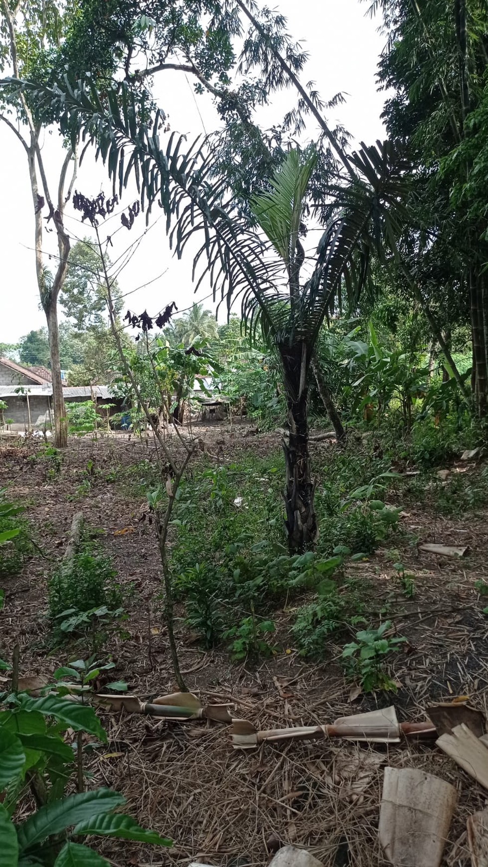 Tanah Luas 1097 Meter Persegi Lokasi JalanKaliurang Pakem Sleman 