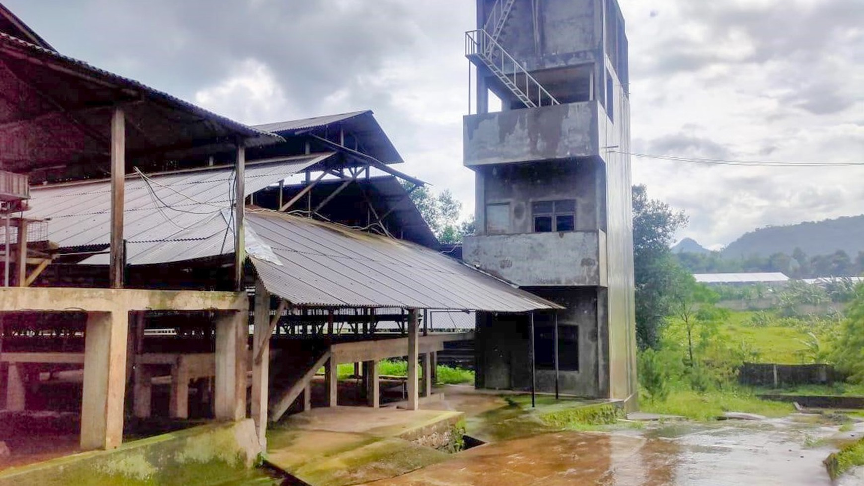 DISEWAKAN KANDANG AYAM 4 HA, LENGKAP, SIAP PAKAI