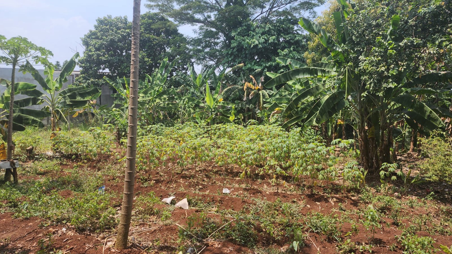 Kavling Siap Bangun Di Cendrawasih Raya Ciputat Tangerang Selatan