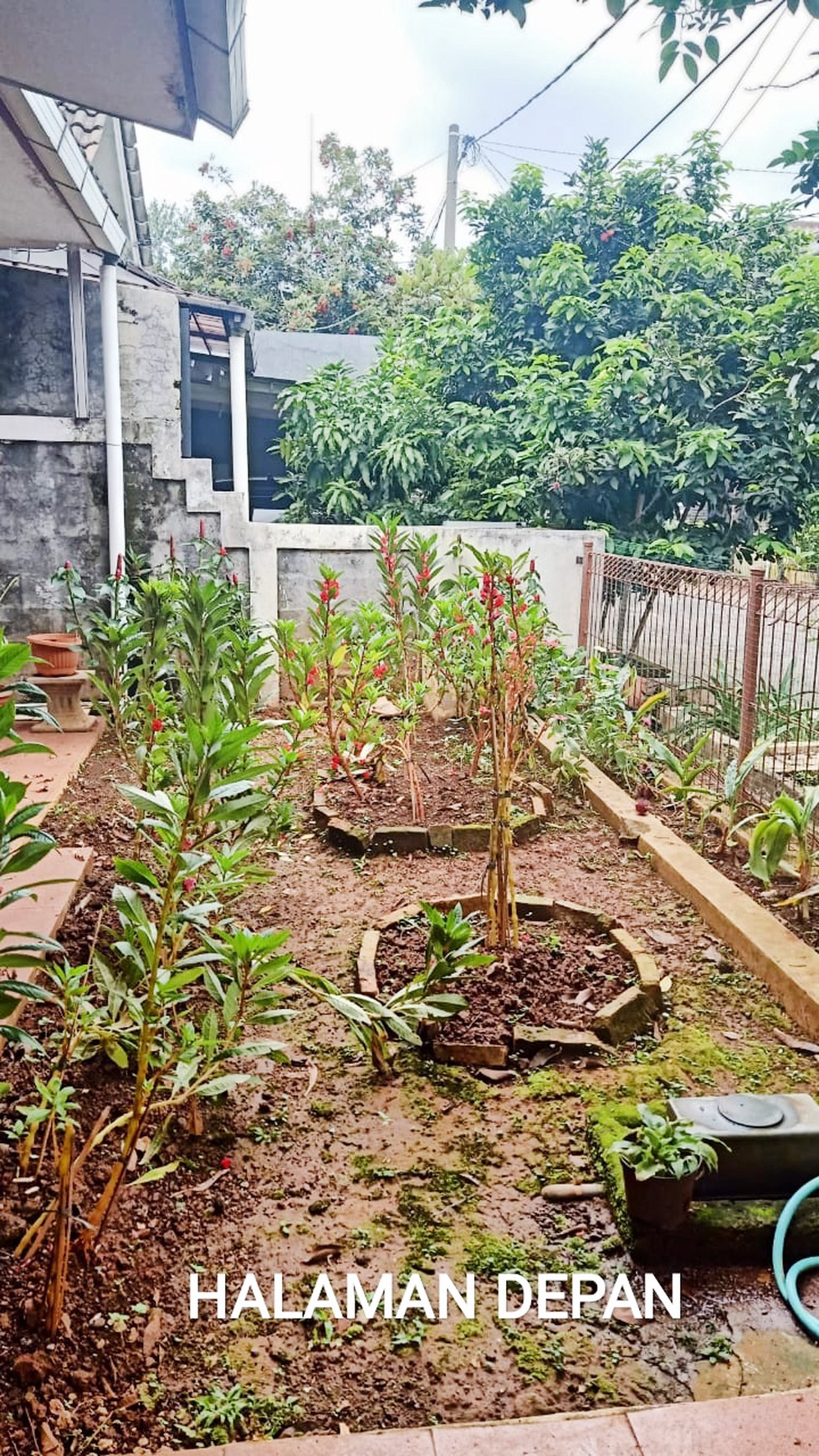 Rumah Bagus Di Jl Griya Asri Sukmajaya Depok Jawa Barat