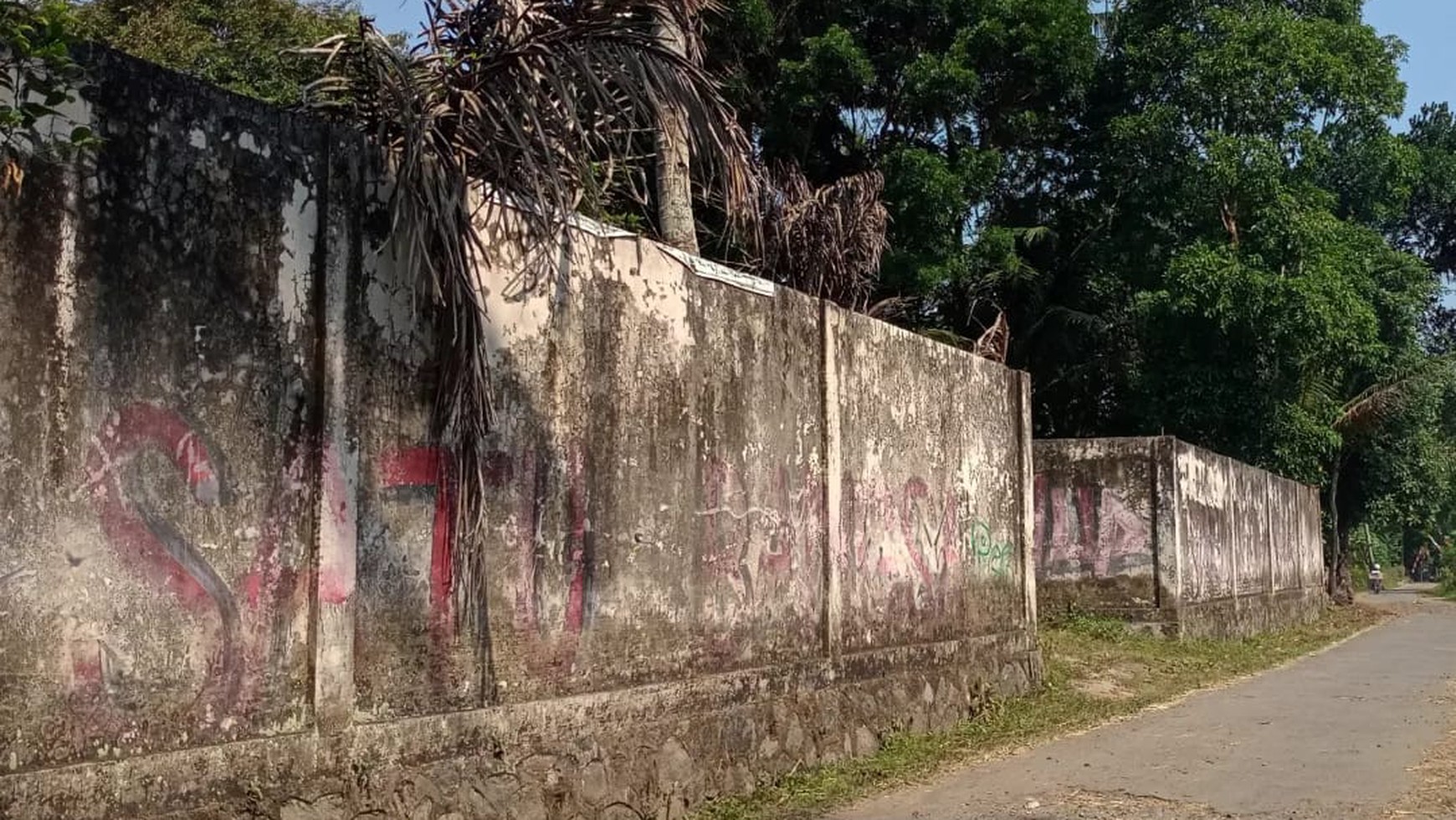 Gudang Luas 1990 Meter Persegi Lokasi Dekat dari Jl Raya Magelang- Borobudur 