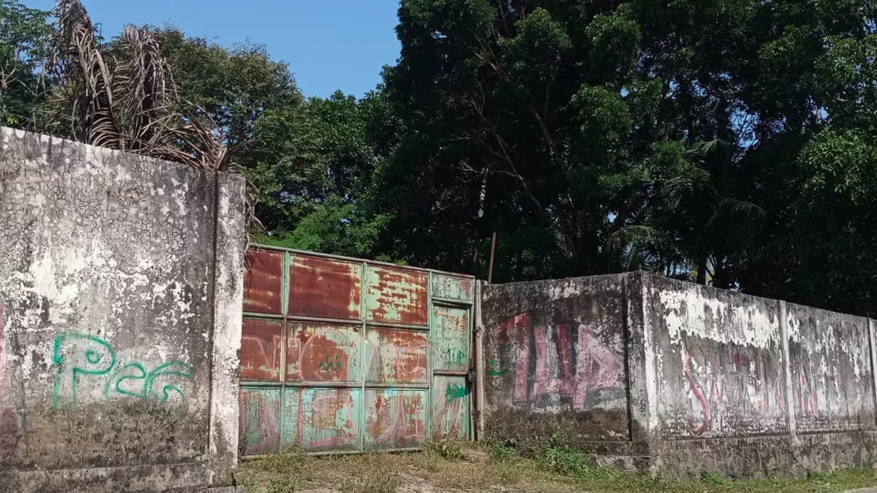 Gudang Luas 1990 Meter Persegi Lokasi Dekat dari Jl Raya Magelang- Borobudur 