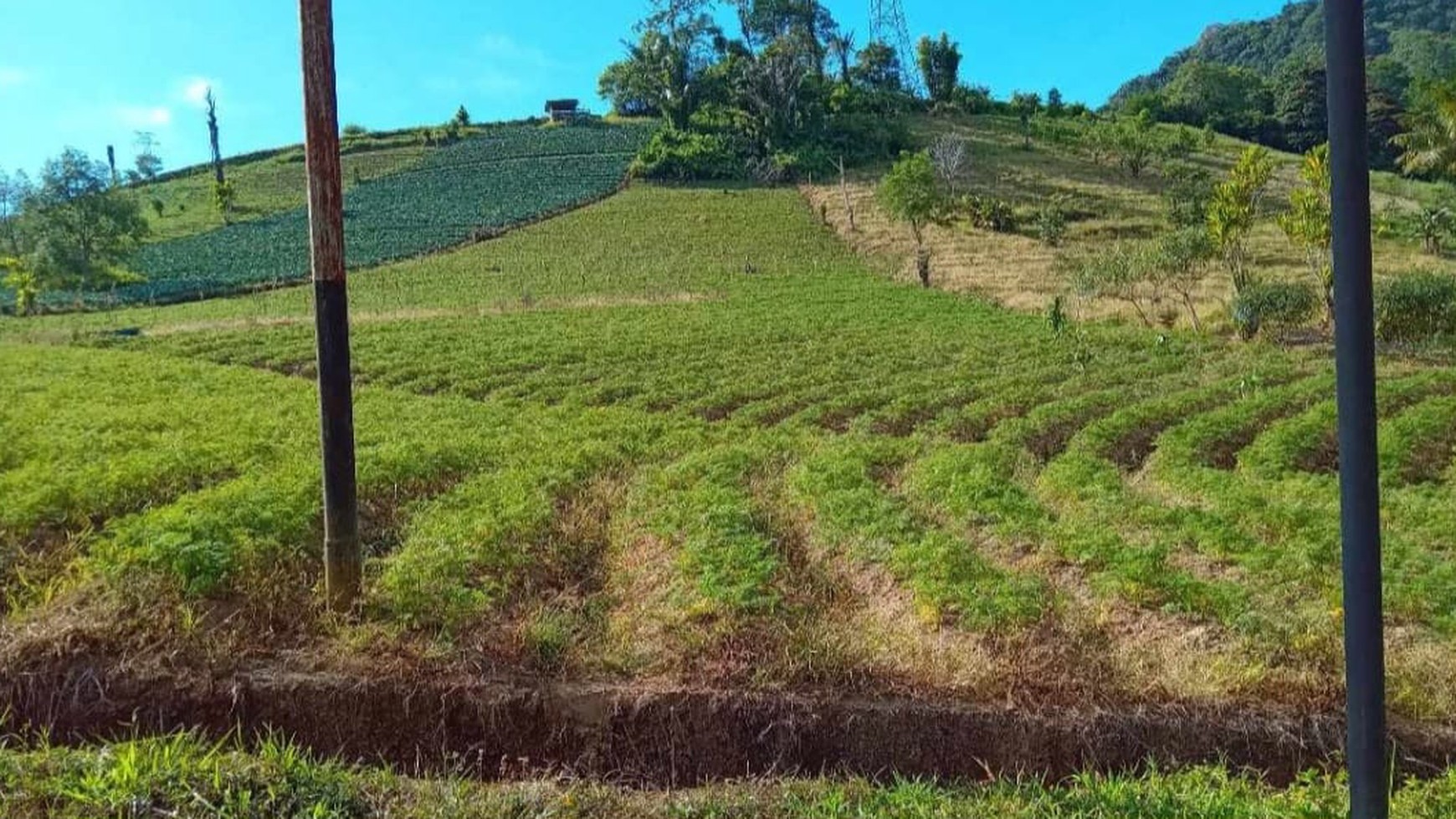 Dijual tanah cukup luas di Peslaten Satu, Tomohon Timur, Sulawesi Utara