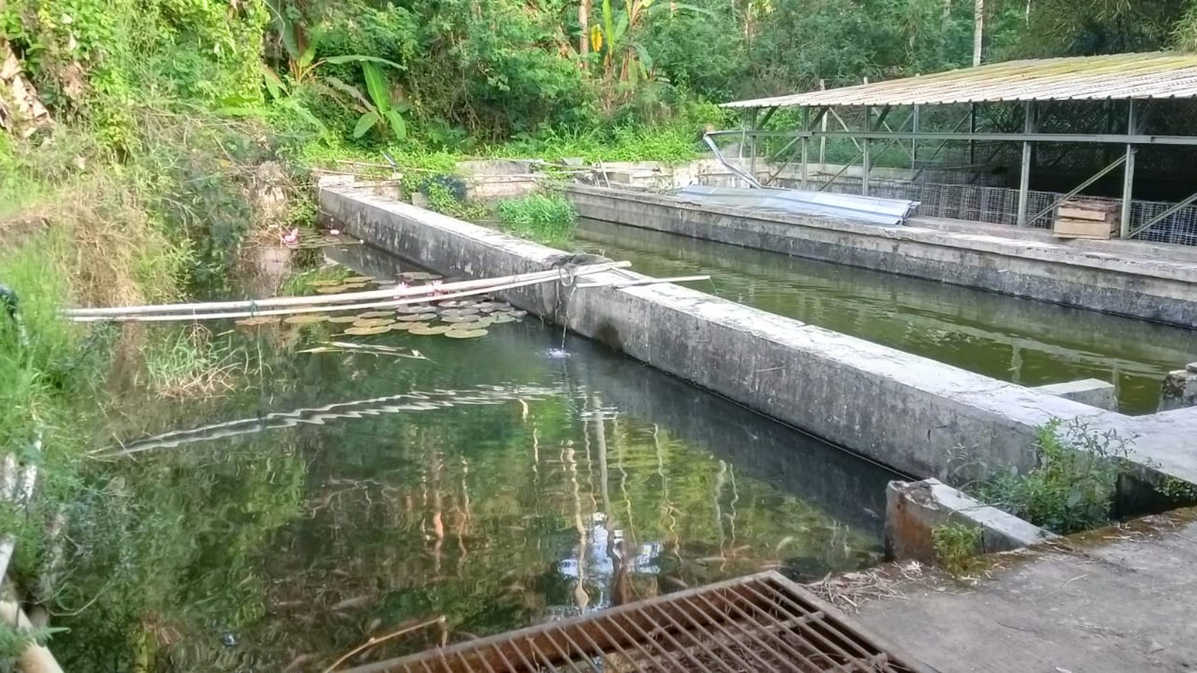 Dijual Tanah cocok untuk Villa di Desa Cugenang Cianjur Jawa Barat