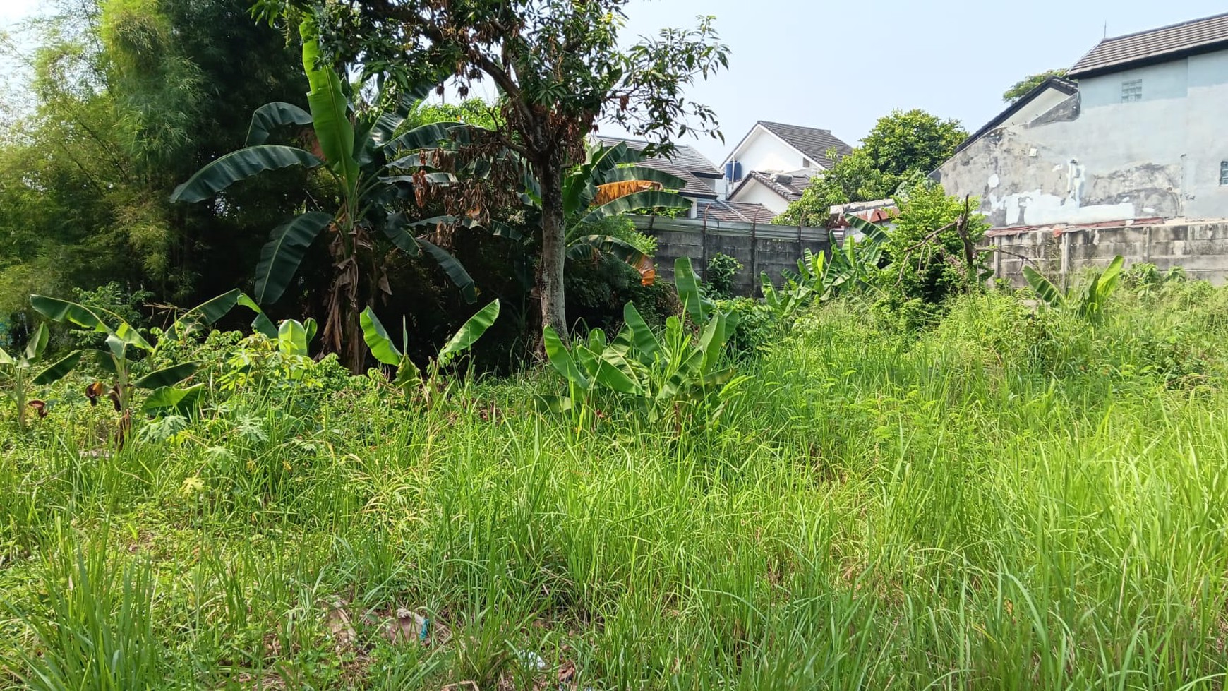 Tanah Kavling kosong Cocok untuk dibuat Cluster di Parigi Pondok Aren Bintaro  