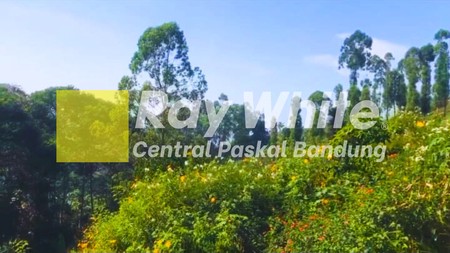 Tanah Kebun Sangat Murah di Cicaheum Kota Bandung