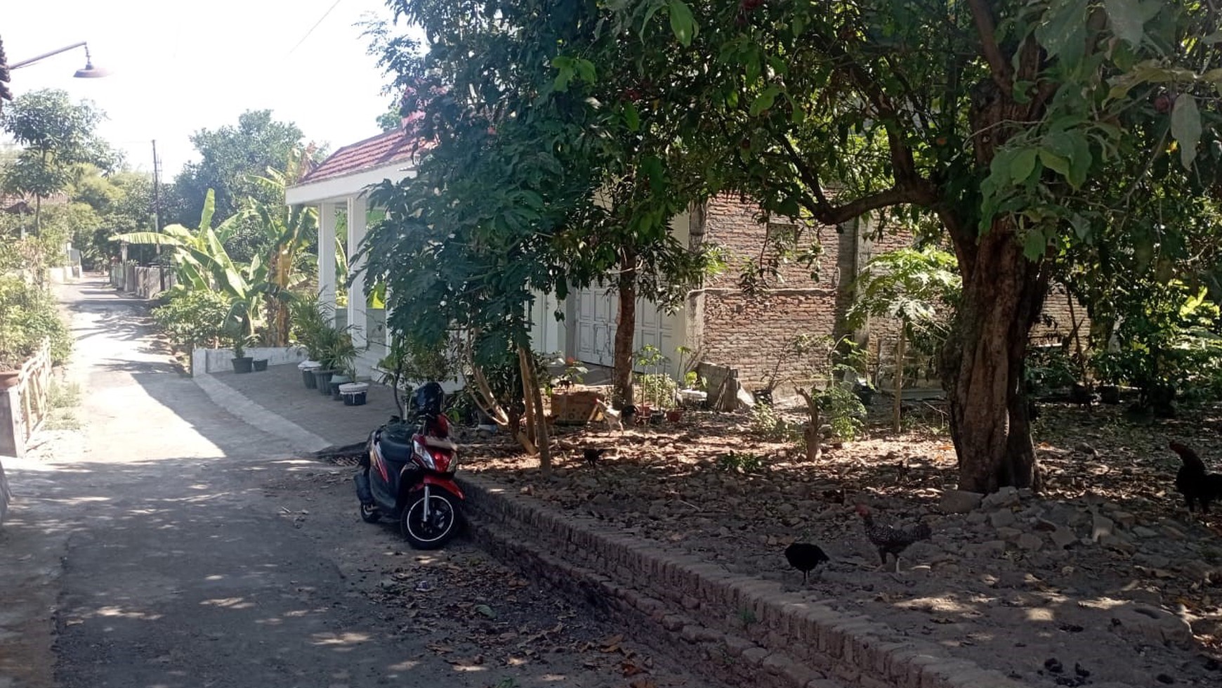 Tanah Pekarangan SHM Luas 184 Meter Persegi Lokasi Di Srimulyo Piyungan Bantul