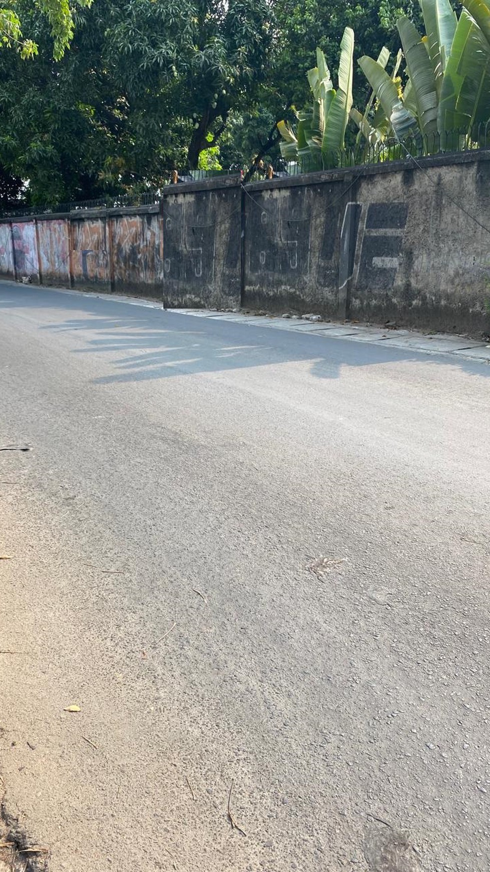 Rumah Asri, bagus, lingkungan aman dan nyaman di Ciputat