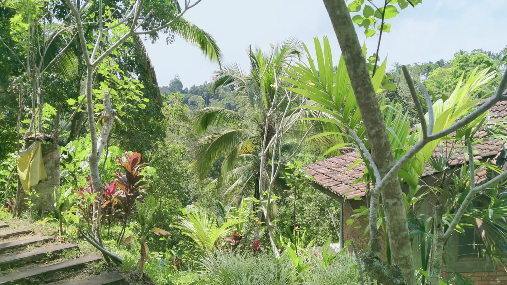 Stunning Ubud Property with Breathtaking Valley Views - Ready for Your Personal Touch