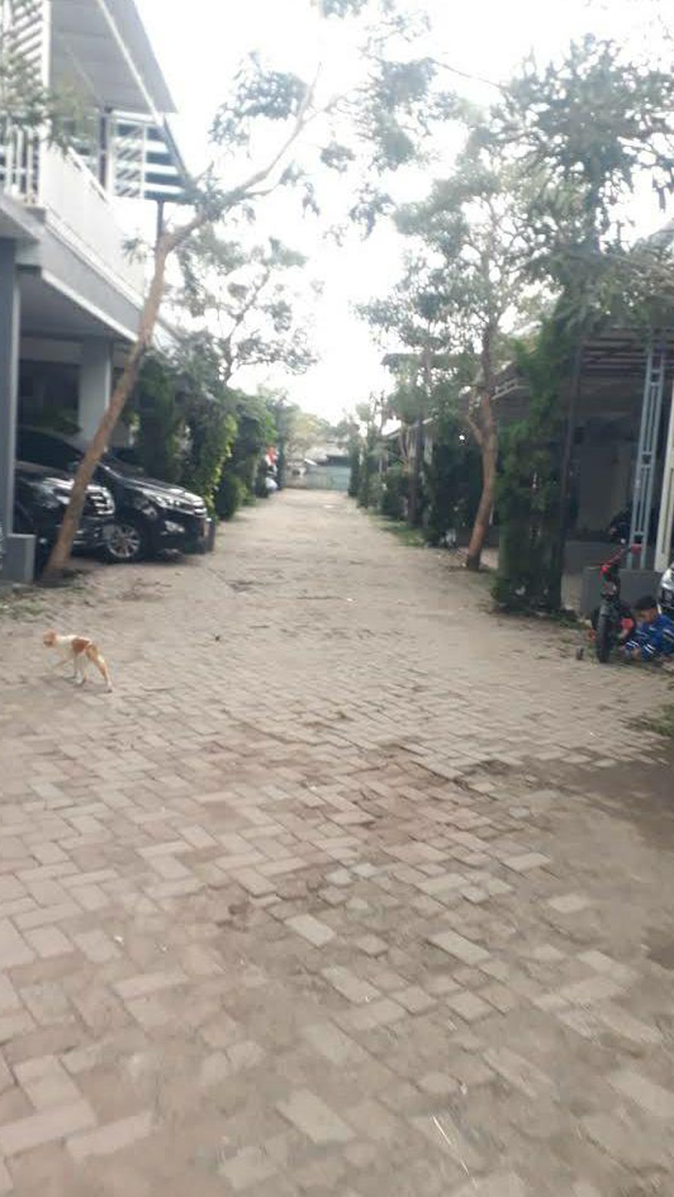 Rumah Cantik Siap Huni dan Kondisi Terawat @Serpong