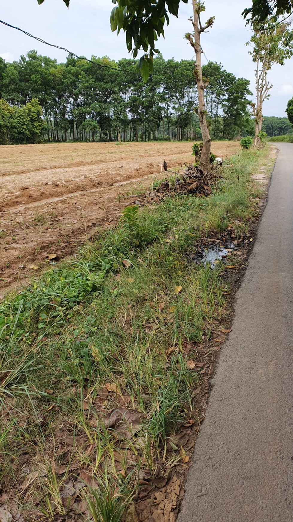 Tanah kosong di jl. Lintas sumatera Beranti belakang Rumah Makan Winda depan Bandara Natar, Lampung Selatan (Lampung)