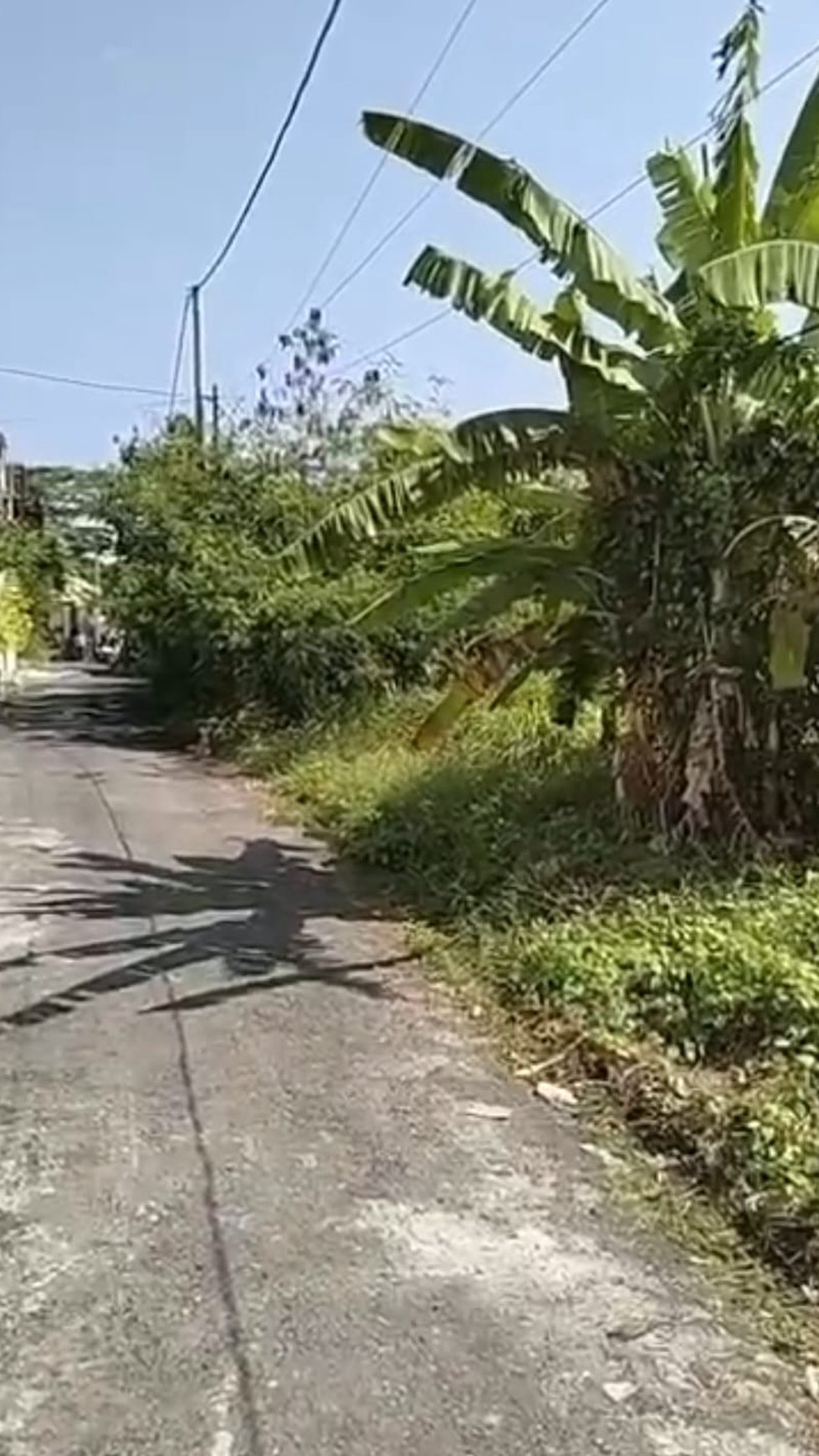 Freehold - Prime land for sale in great area Cemagi, close to Canggu, Bali