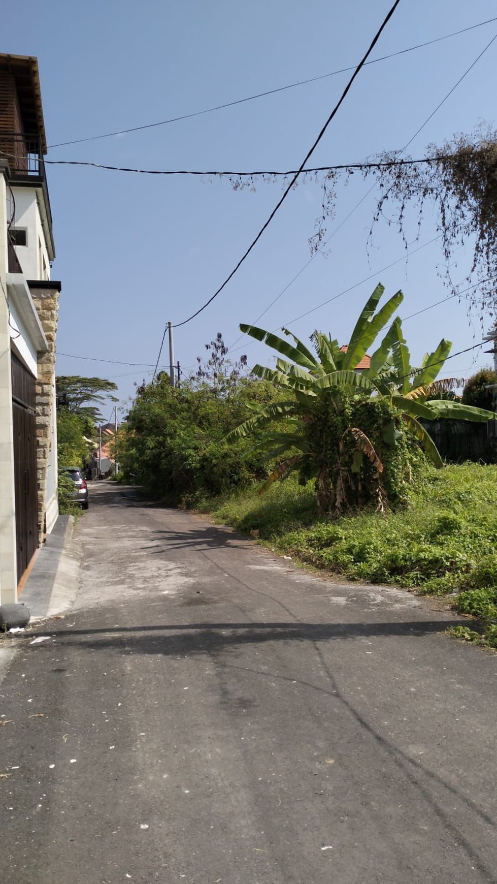 Freehold - Prime land for sale in great area Cemagi, close to Canggu, Bali