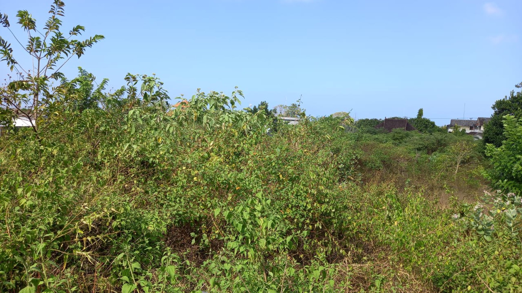 Freehold land 10,000 m2 land only 9 minutes to Melasti Beach and 13 minutes to Pandawa Beach