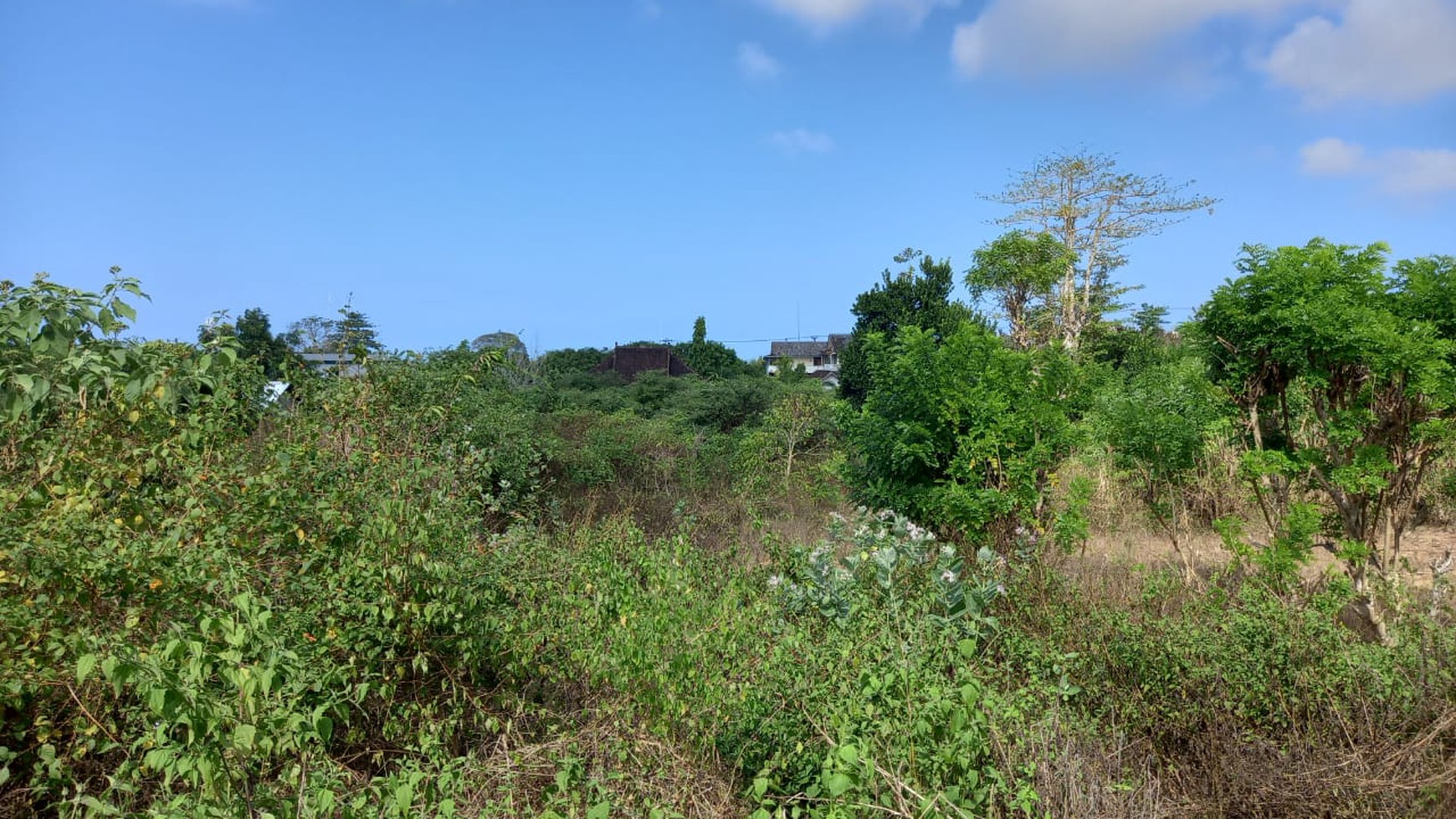 Freehold land 10,000 m2 land only 9 minutes to Melasti Beach and 13 minutes to Pandawa Beach