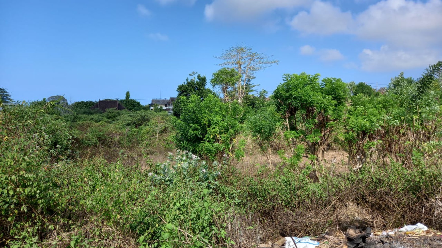 Freehold land 10,000 m2 land only 9 minutes to Melasti Beach and 13 minutes to Pandawa Beach