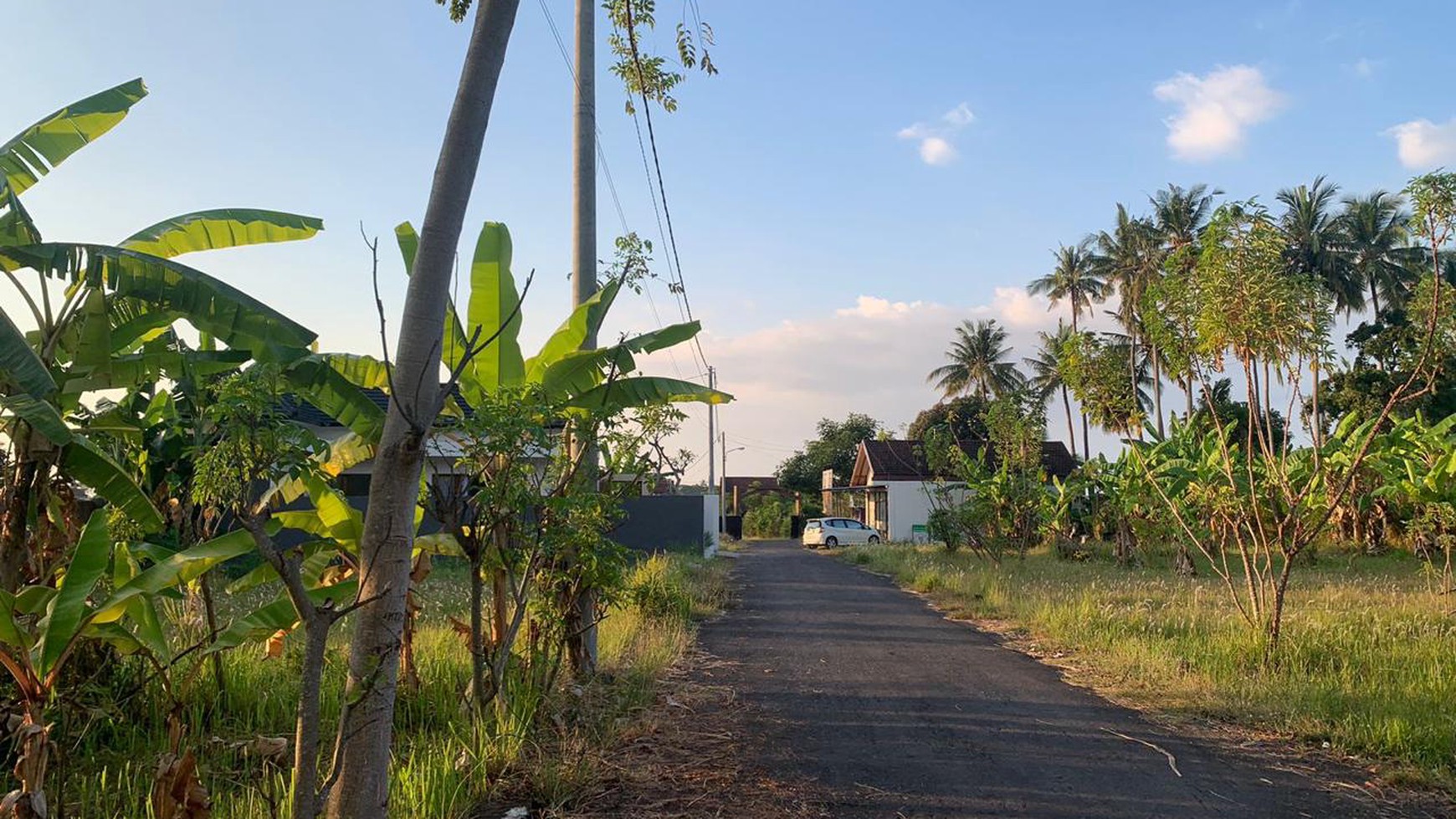 Profitable Leasehold Land in Temukus: Invest in a Location Where Rental Villas Thrive