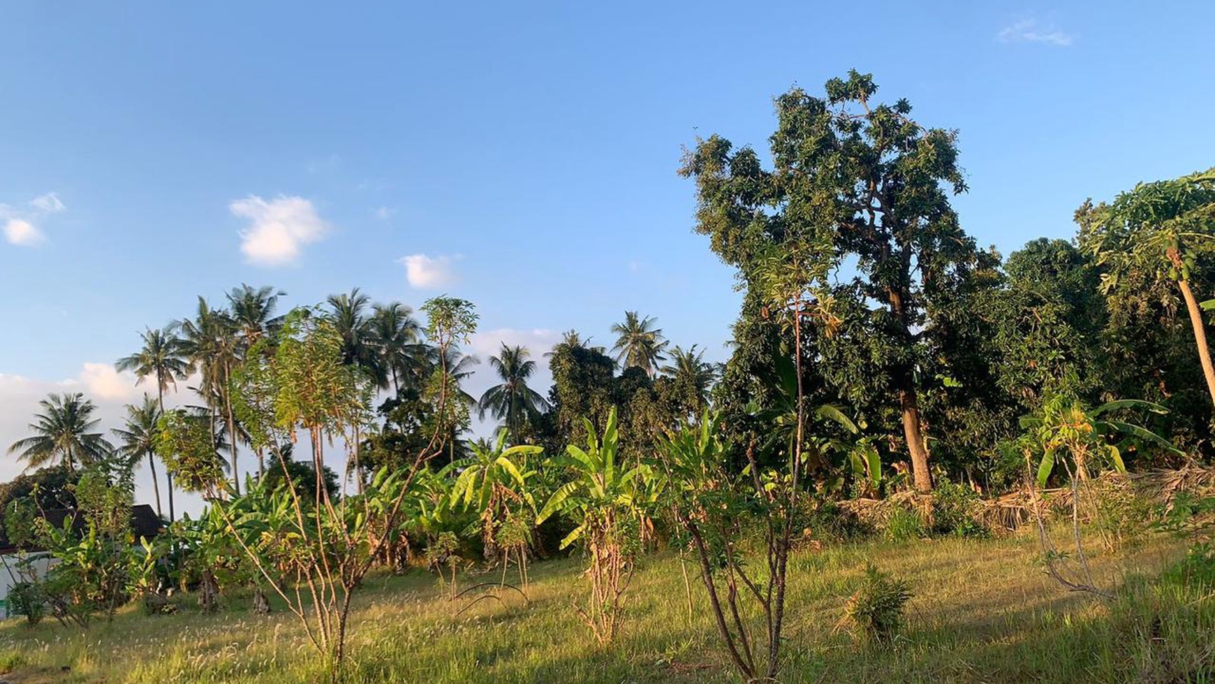 Lease & Loved! Most Beautiful Land with Fantastic Specs Near Lovina Beach