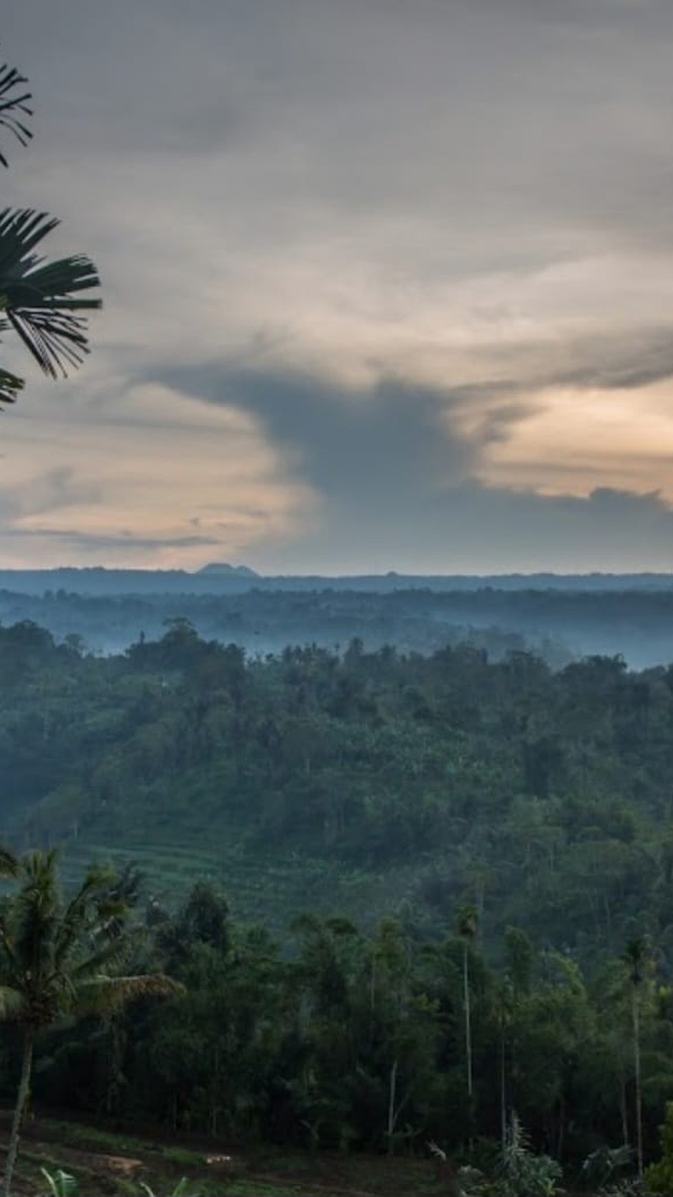 Land Freehold Discover Your Slice of Paradise at Buahan, Payangan, Ubud