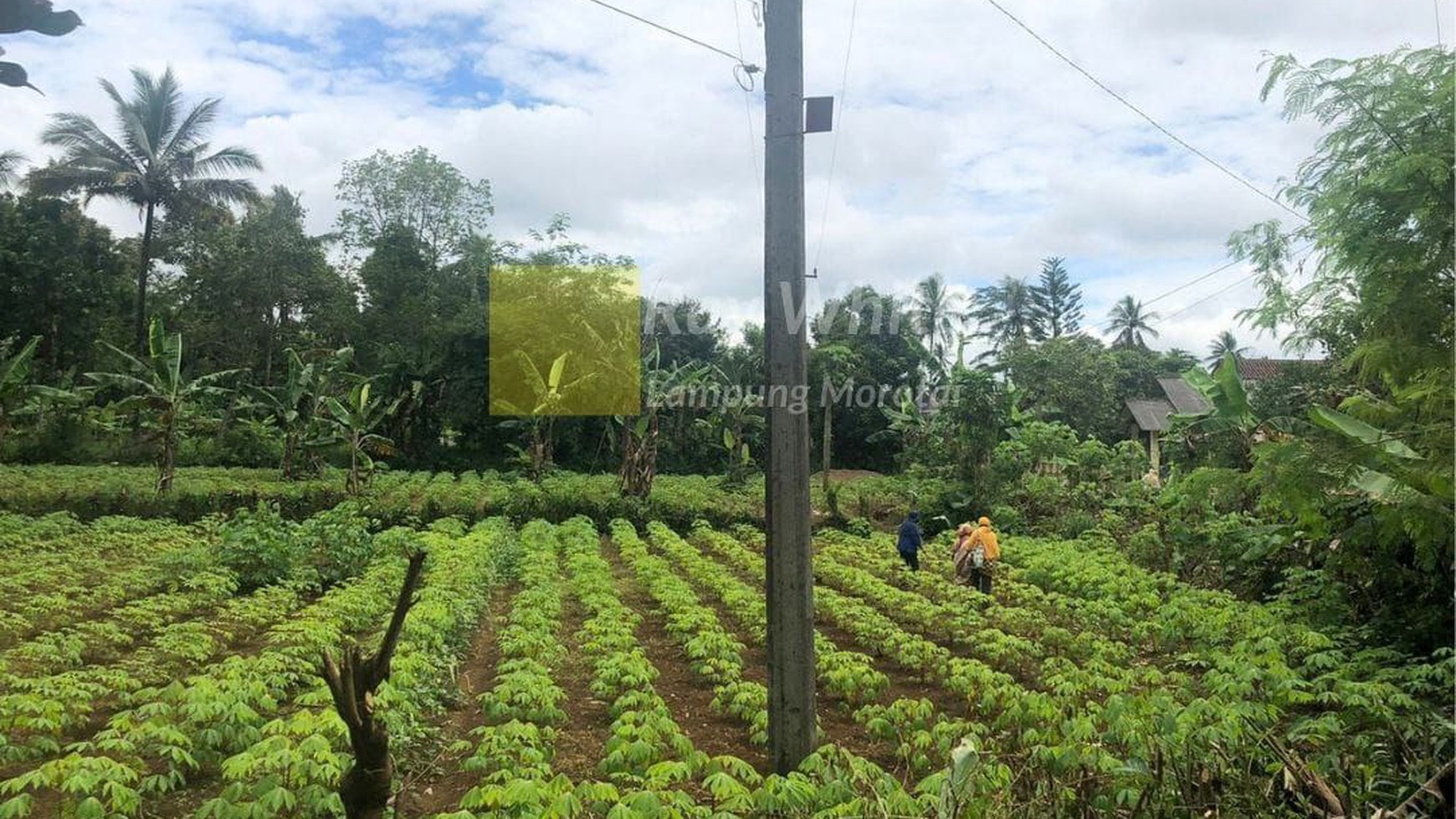 Dijual Tanah di Sukabumi, Jawa Barat