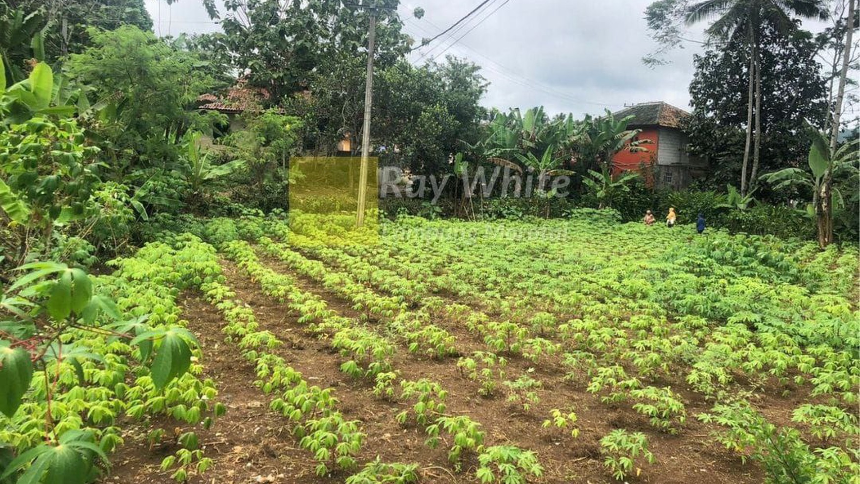 Dijual Tanah di Sukabumi, Jawa Barat