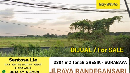 Dijual 3884 m&#xb2; Tanah Raya Randegansari - Driyorejo Dekat Citraland SURABAYA - Nol Jalan Raya - SHM - 