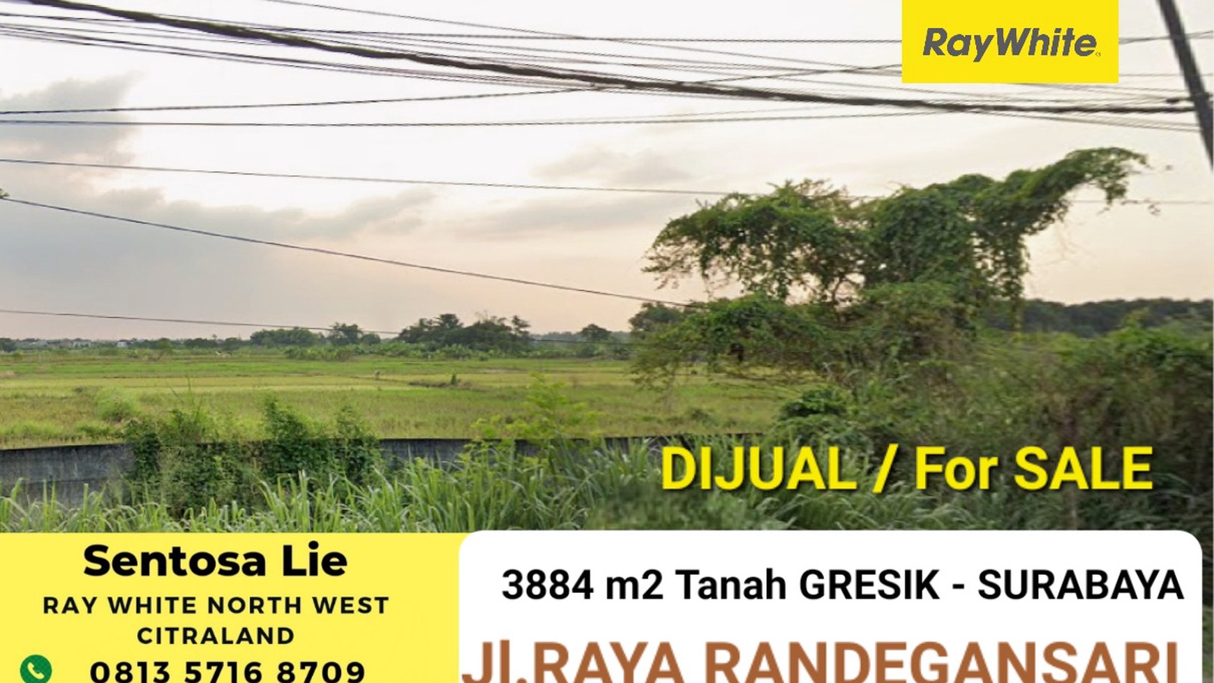 Dijual 3884 m&#xb2; Tanah Raya Randegansari - Driyorejo Dekat Citraland SURABAYA - Nol Jalan Raya - SHM - 