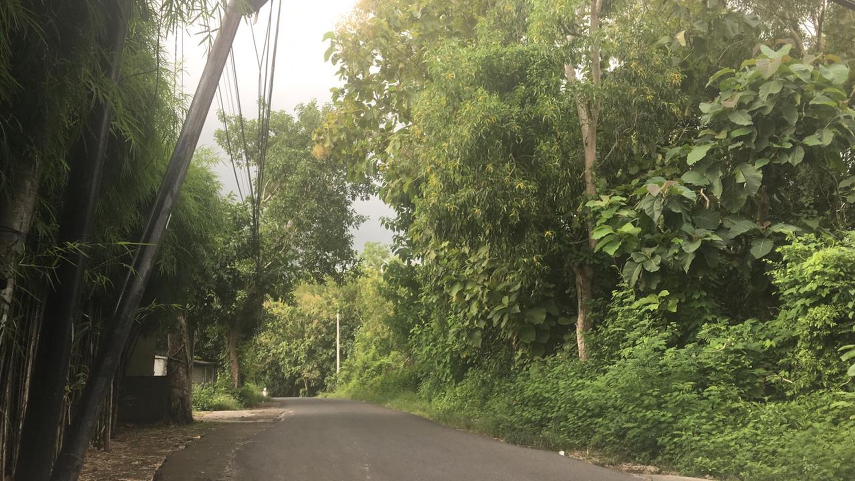 3000 Sqm Land Freehold In Pecatu Bukit