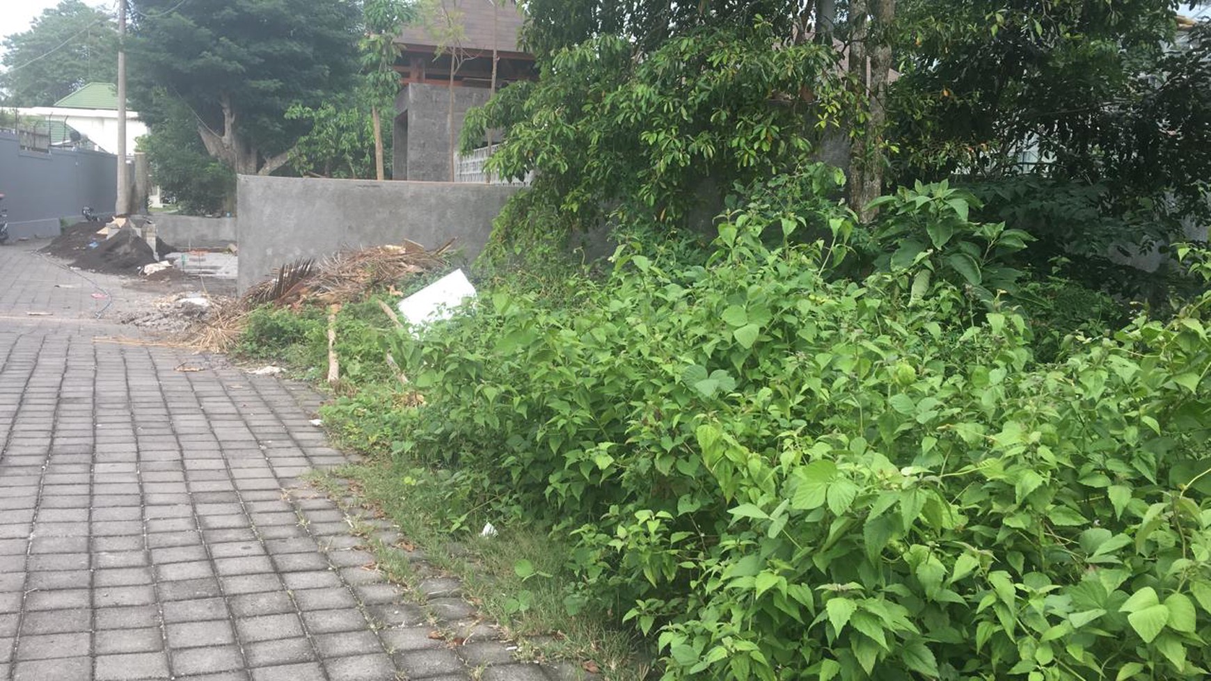 3000 Sqm Land Freehold In Pecatu Bukit