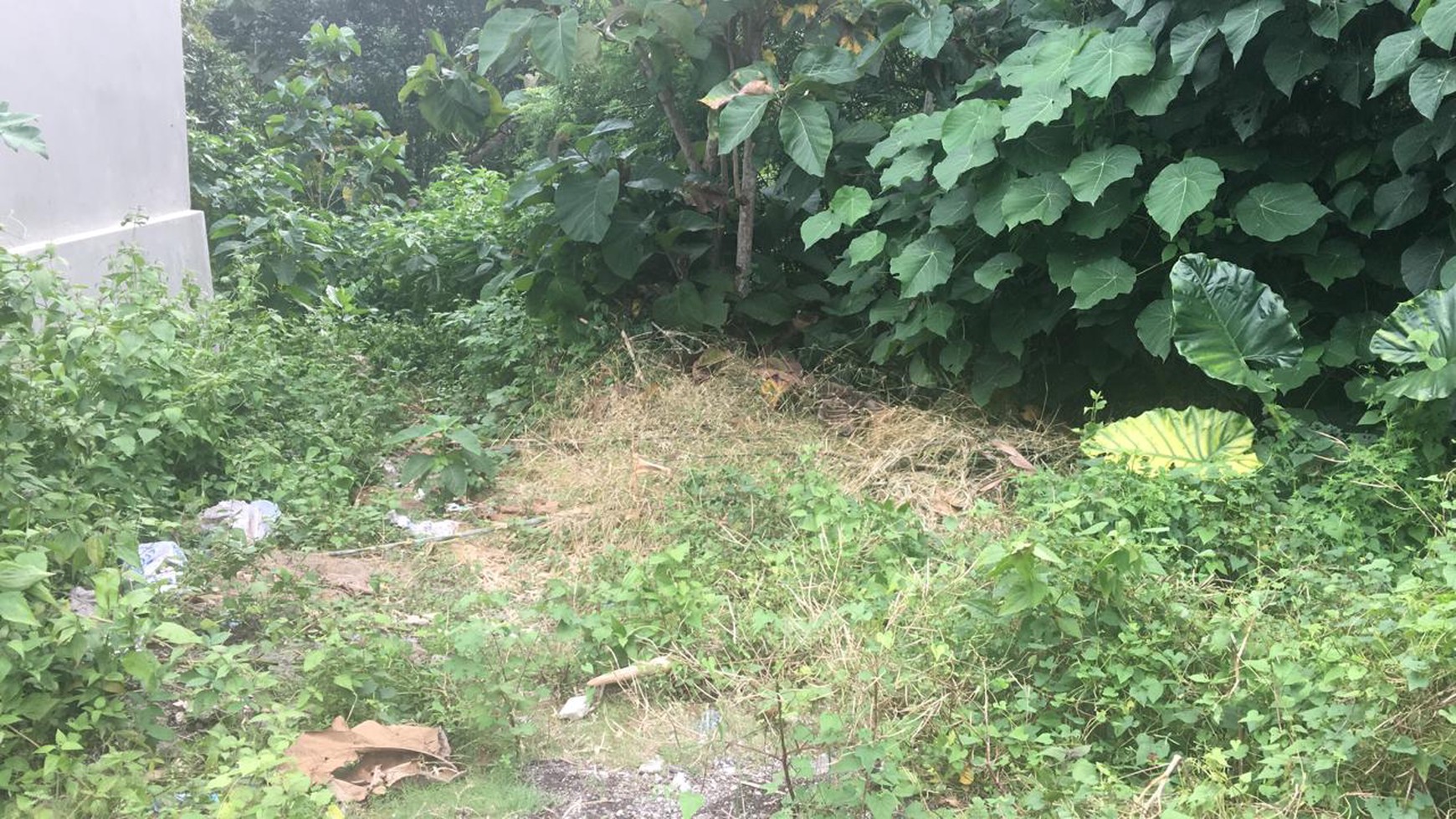 3000 Sqm Land Freehold In Pecatu Bukit