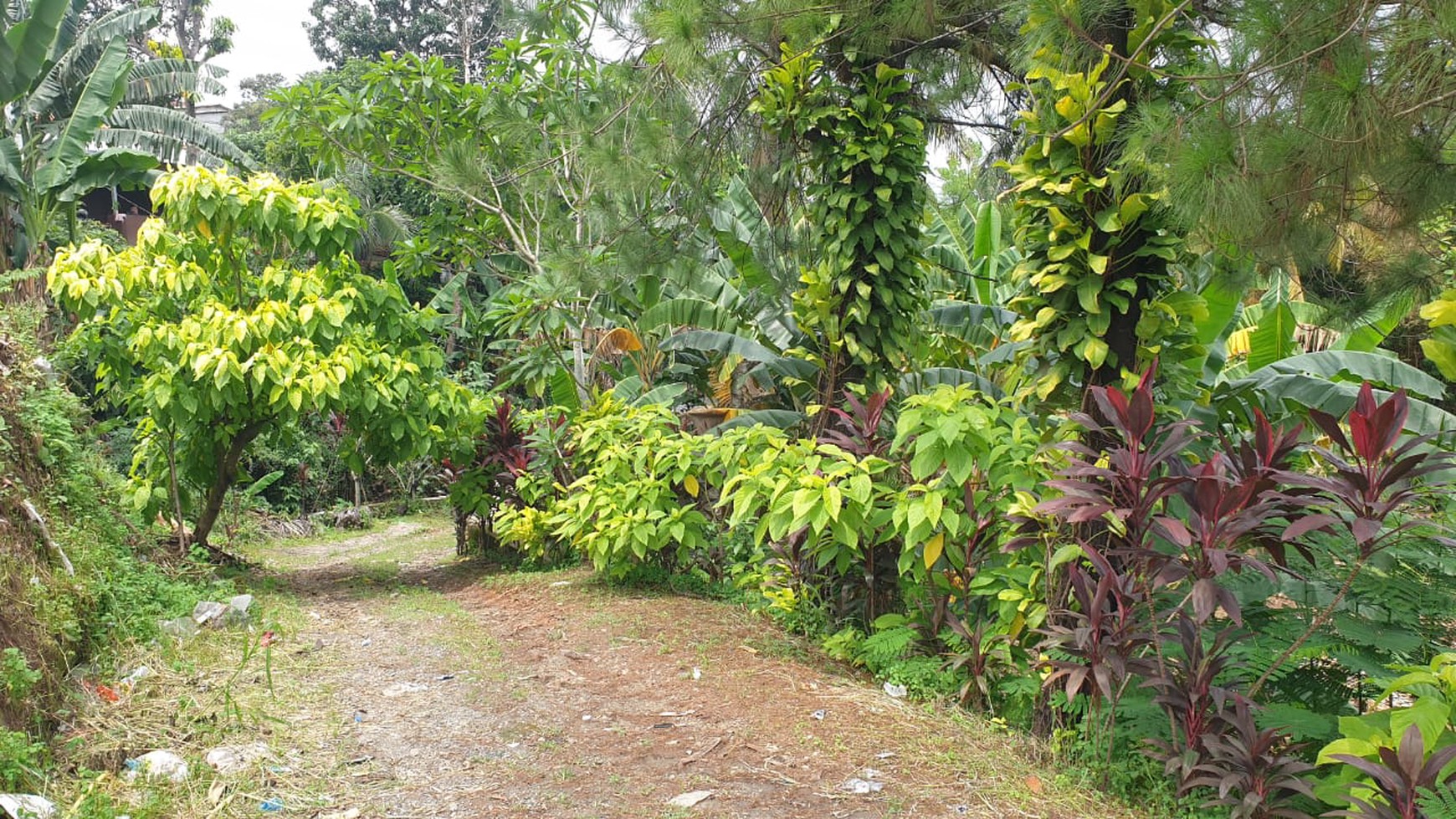 Tanah Di Lokasi Strategis Dekat Puspitek Serpong Cocok Untuk Hunian atau Usaha