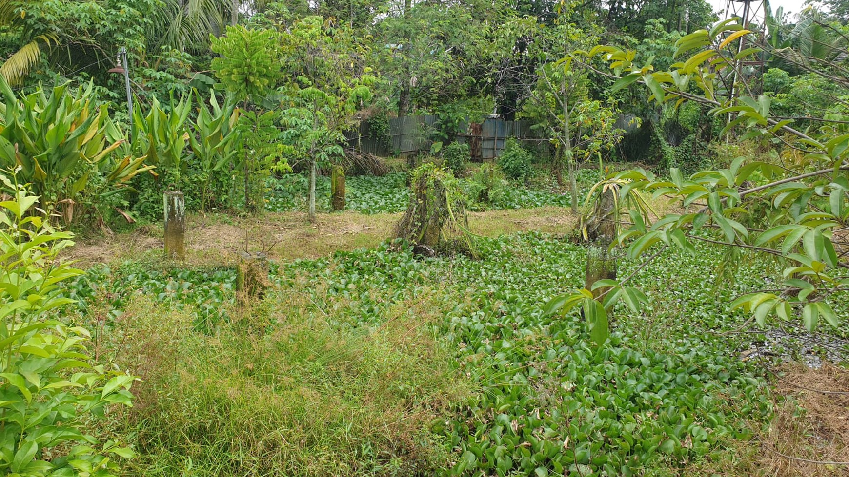 Tanah Di Lokasi Strategis Dekat Puspitek Serpong Cocok Untuk Hunian atau Usaha