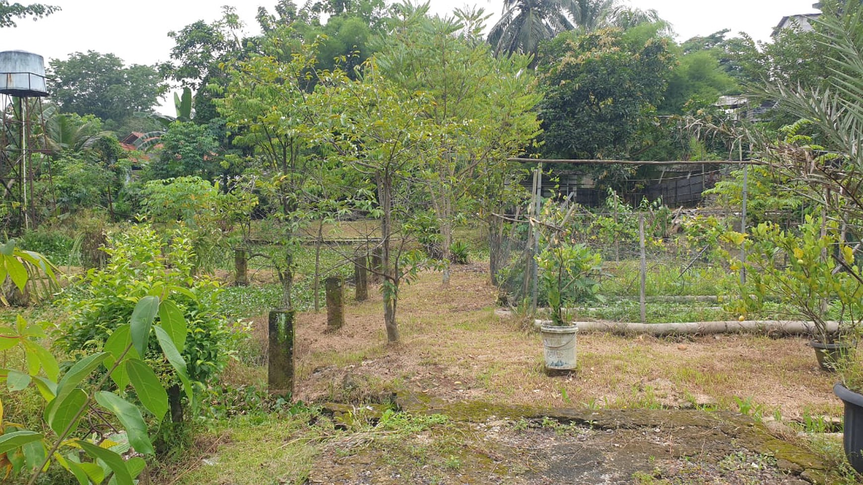 Tanah Di Lokasi Strategis Dekat Puspitek Serpong Cocok Untuk Hunian atau Usaha