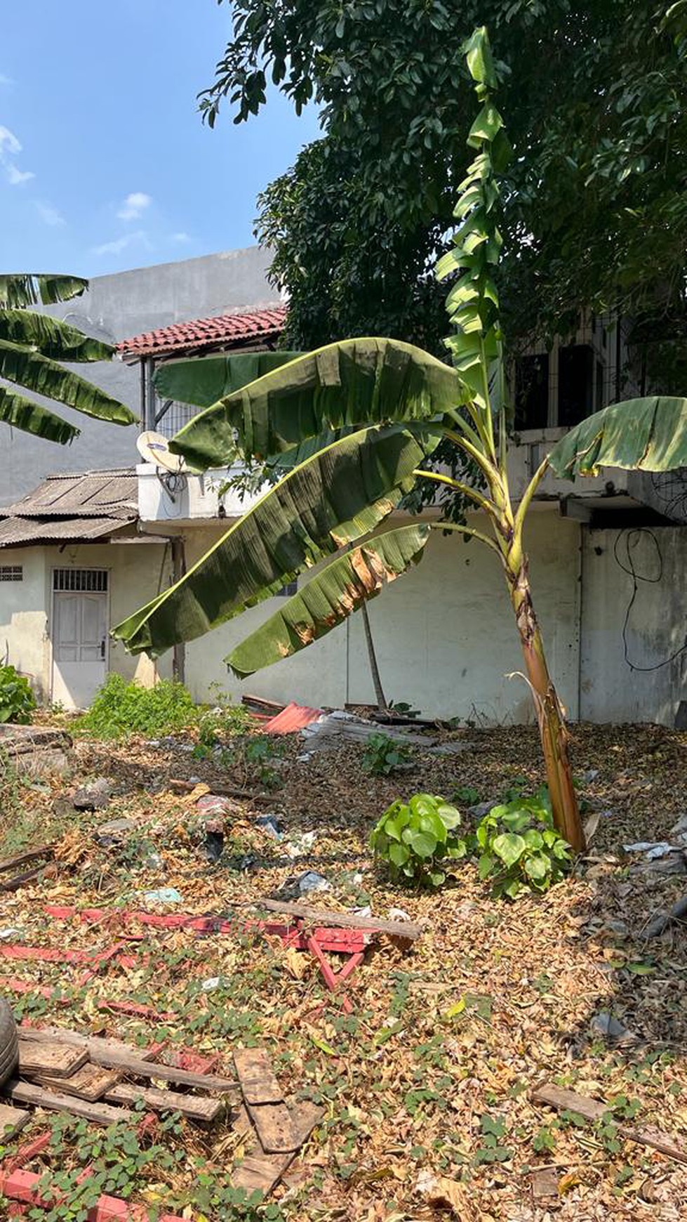 TANAH DISEWA JALAN POS PENGUMBEN JAKARTA BARAT