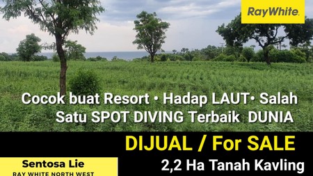 Dijual 2,2 Ha Tanah BALI di desa Tulamben - kec.Kubu - Kab.Karang Asem - SHM - View Laut - cocok Buat Resort