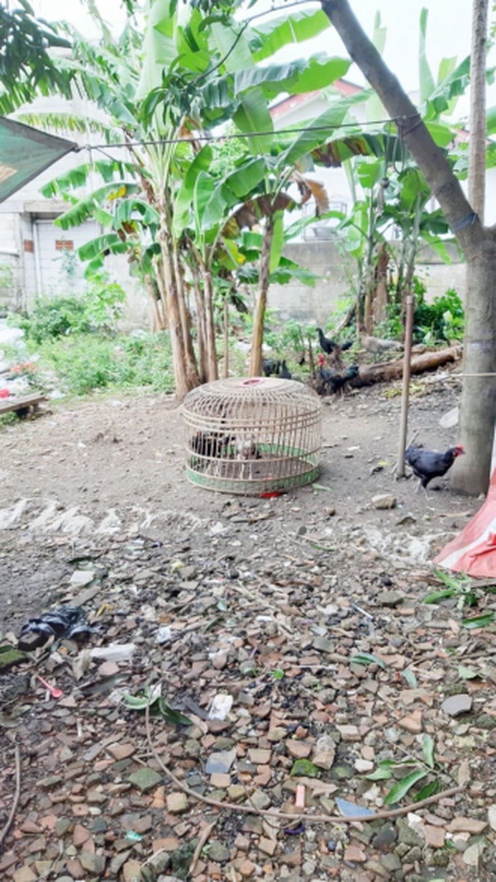 Rumah Hitung Tanah Di Jl Pertanian Lebak Bulus Jakarta Selatan