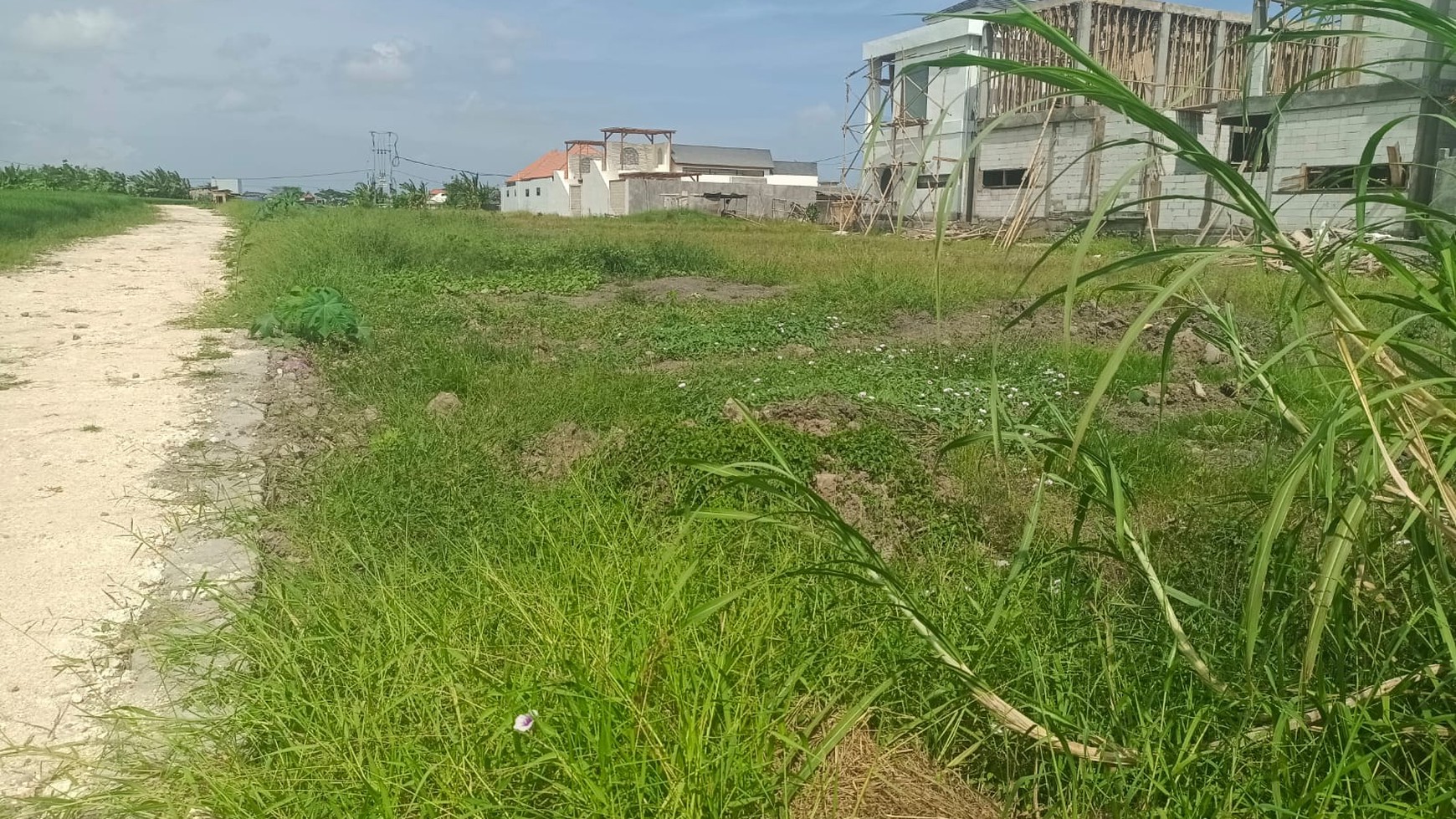 Land Leasehold Just 3 Minute To Seseh Beach