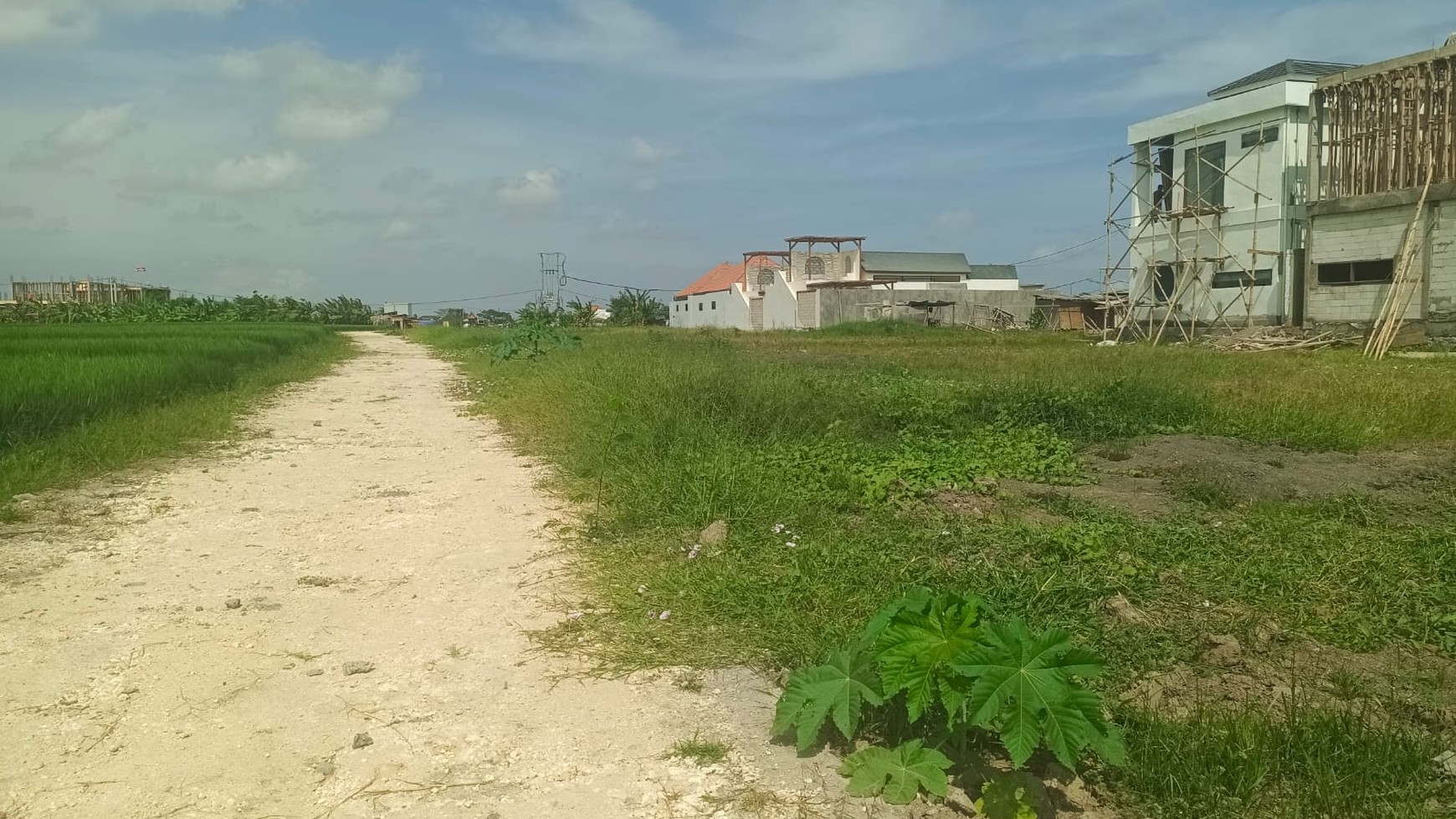 Land Leasehold Just 3 Minute To Seseh Beach Bali