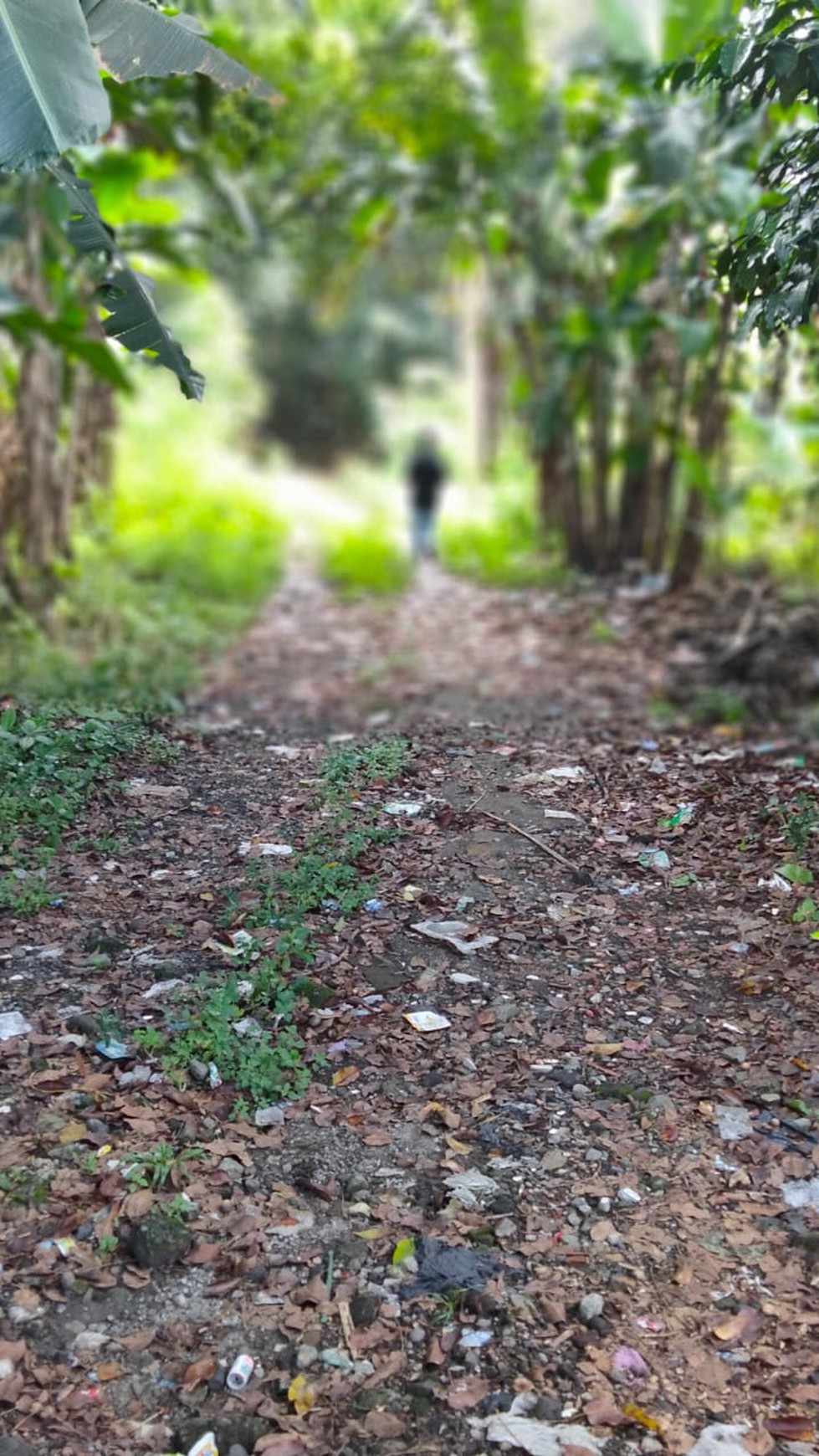 Tanah Pekarangan Luas 10.604 Meter Persegi Lokasi Dekat Kampus UPN Depok Sleman 