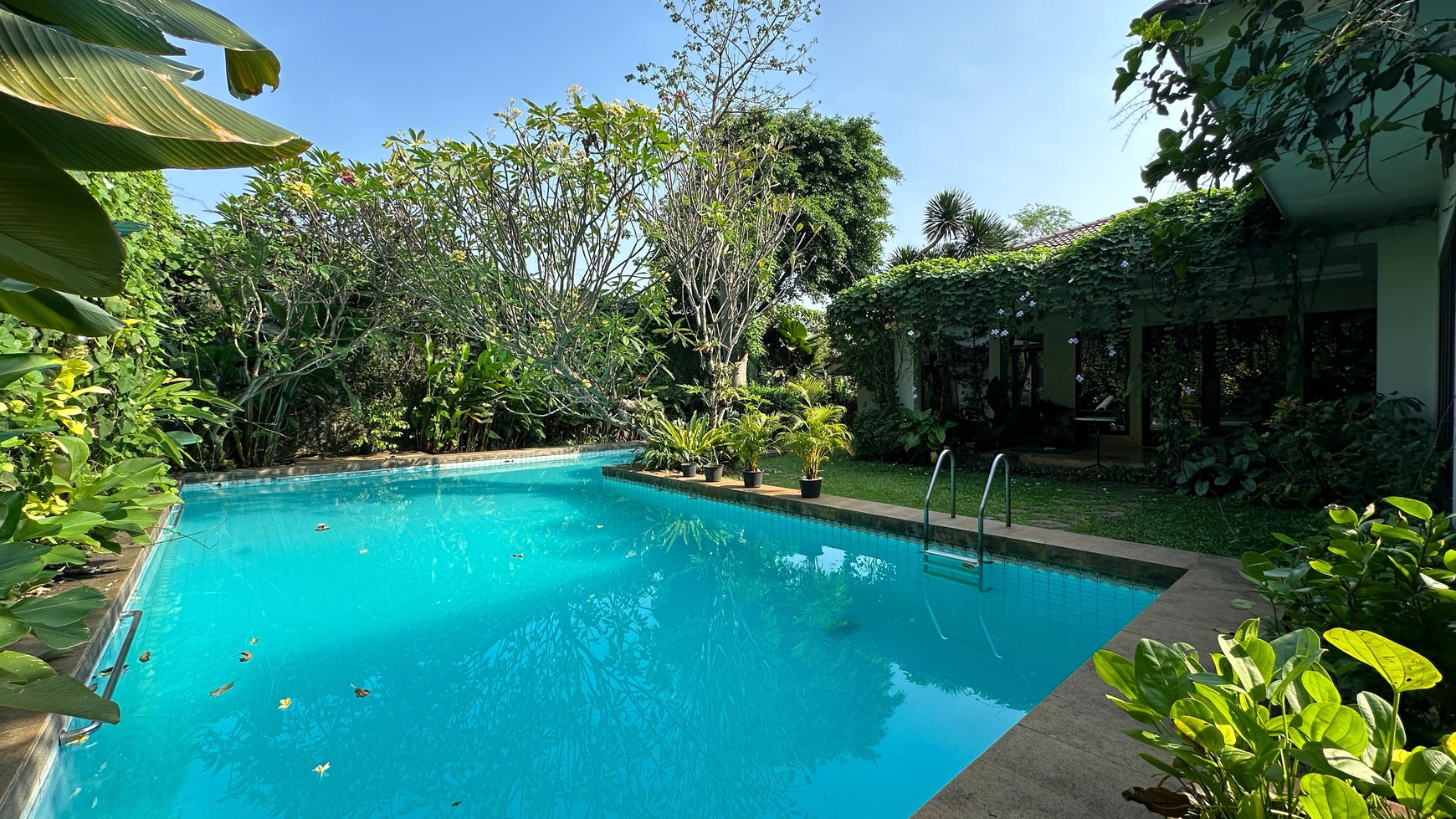 Newly renovated bright house and spacious backyard with full furnish near kemang 