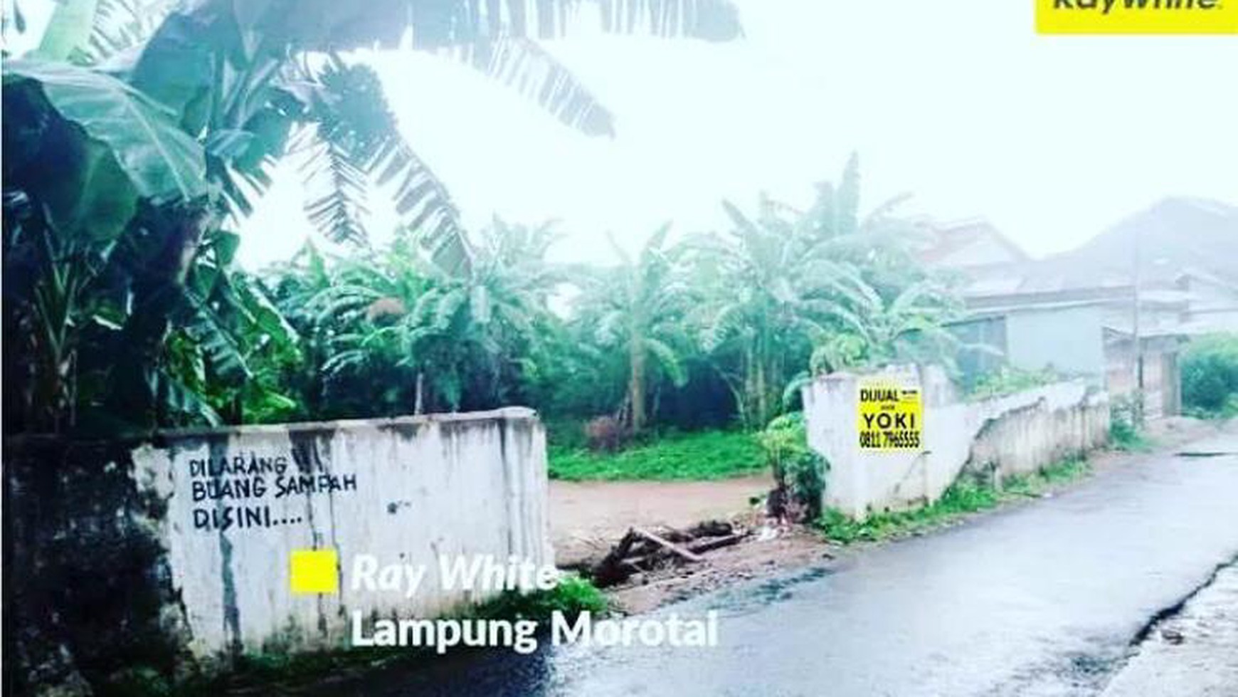 Tanah Murah di Teluk Betung