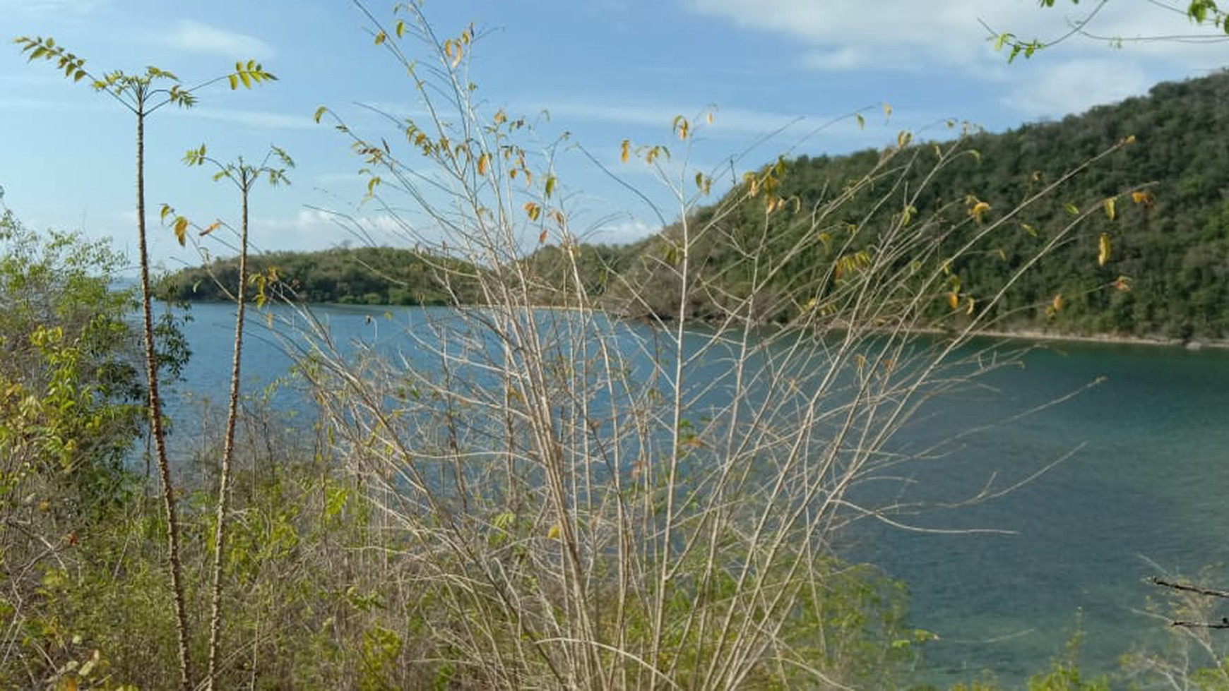 Stunning Land Freehold in Labuan Bajo