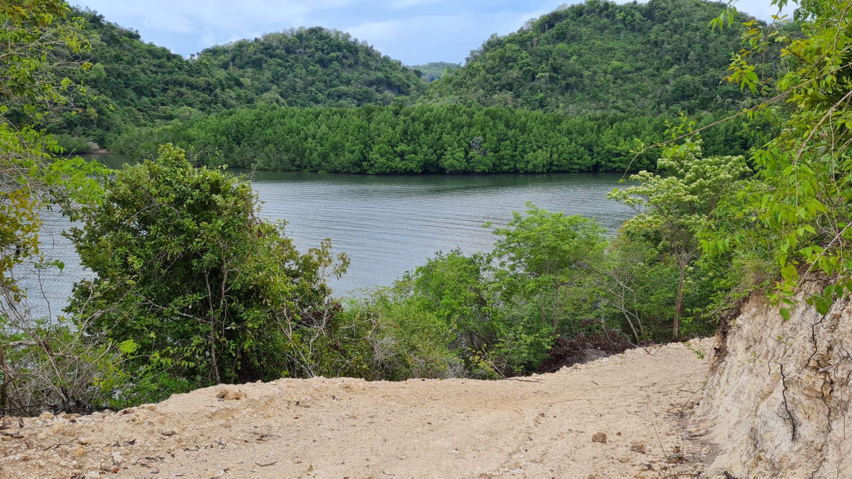 Stunning Land Freehold in Labuan Bajo