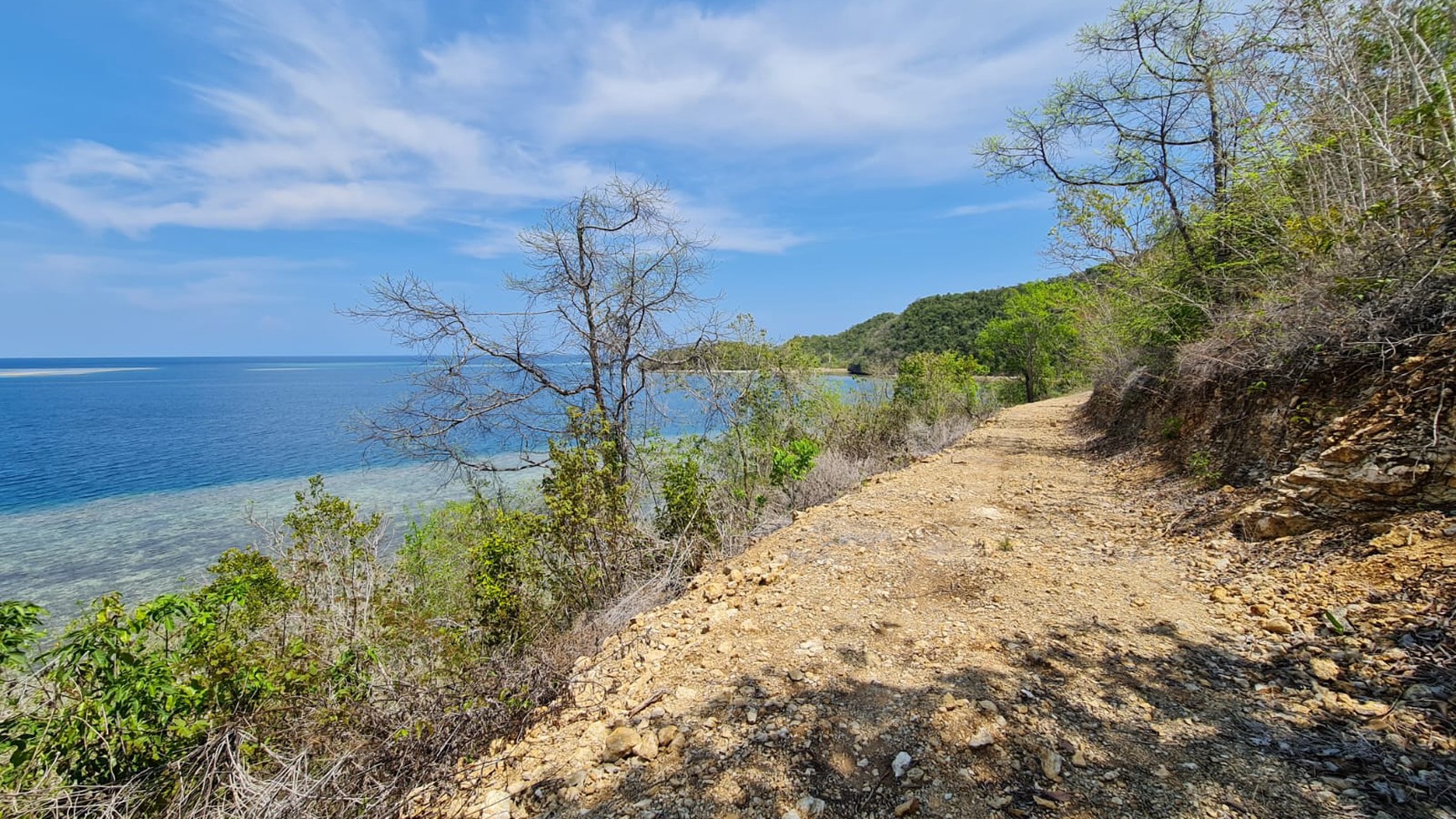 Stunning Land Freehold in Labuan Bajo