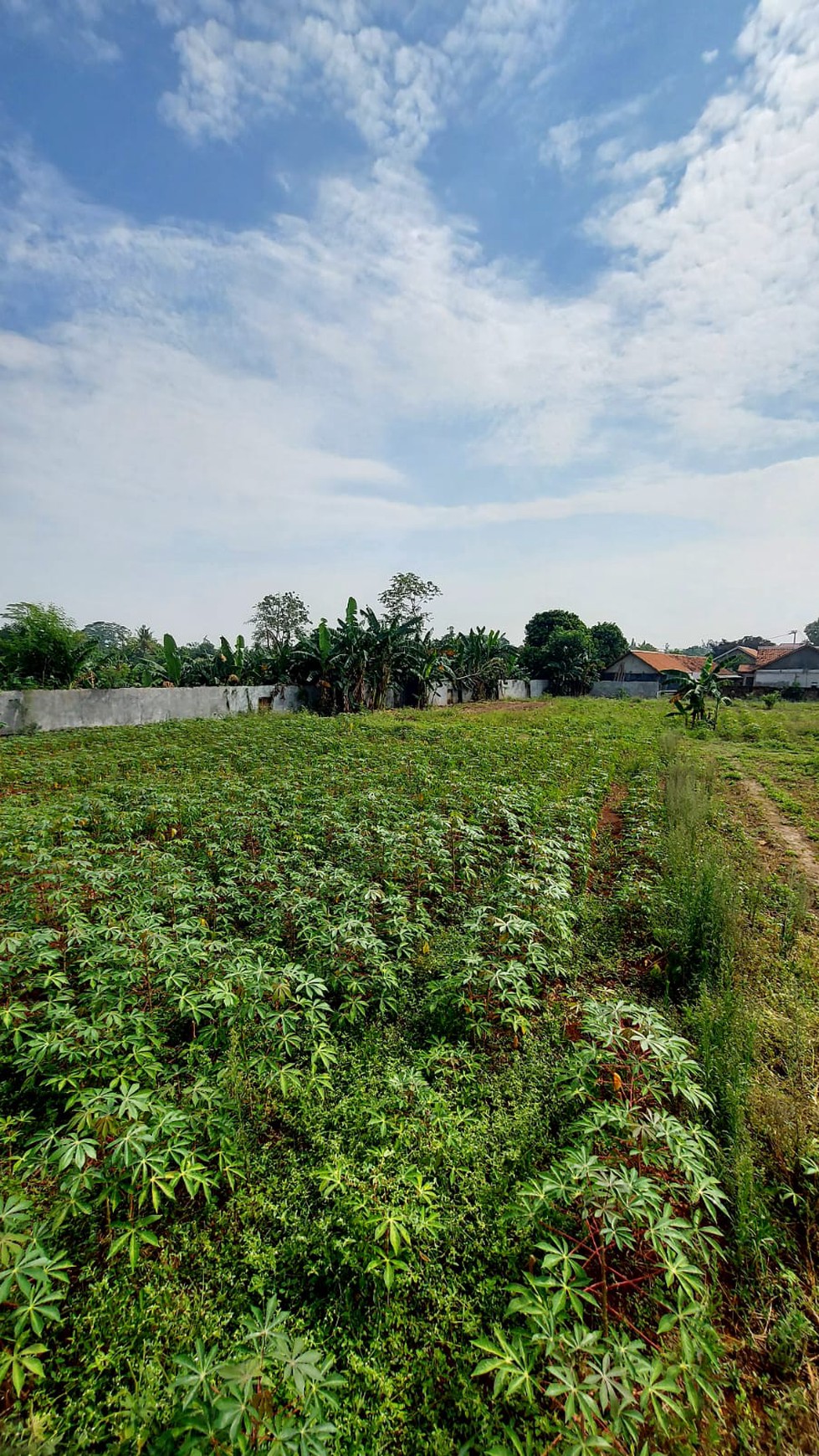 Jual Tanah cocok untuk cluster di Bekasi, dekat Pintu Tol Burangkeng