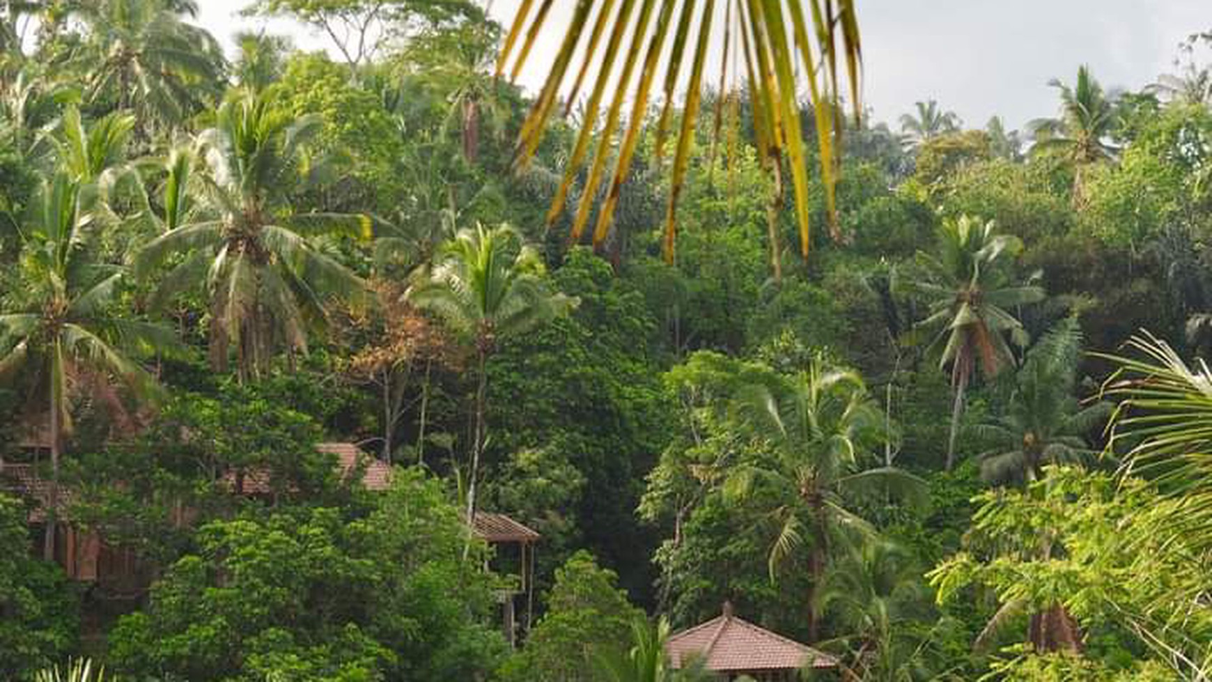 Freehold - Stunning Ubud Property with Breathtaking Valley Views - Ready for Your Personal Touch