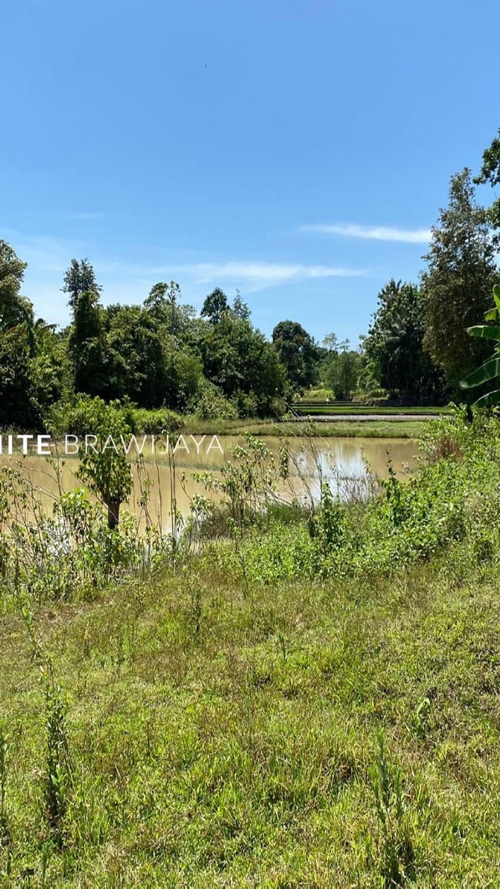 Tanah Luas Cocok untuk Kompleks Perumahan Area Serang  Banten