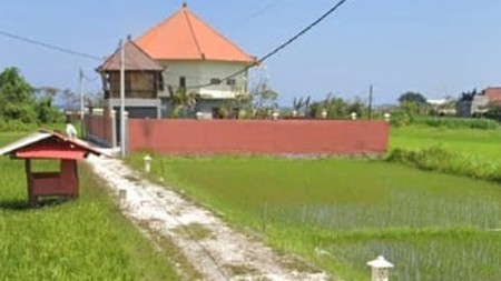 Freehold 12 Are of Prime Land in Ketewel, Gianyar - Beautiful Ocean and Rice Field Views